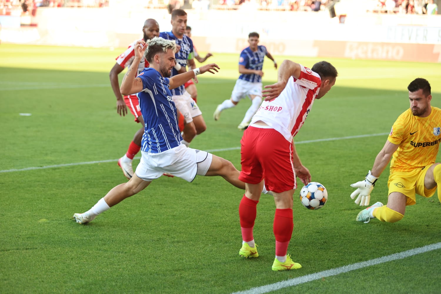 WhatsApp Image 2025-08-09 at 8.34.03 PM (1)