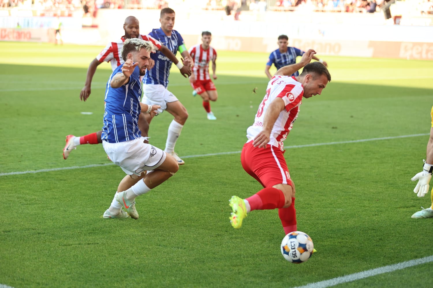 WhatsApp Image 2025-08-09 at 8.34.03 PM (2)