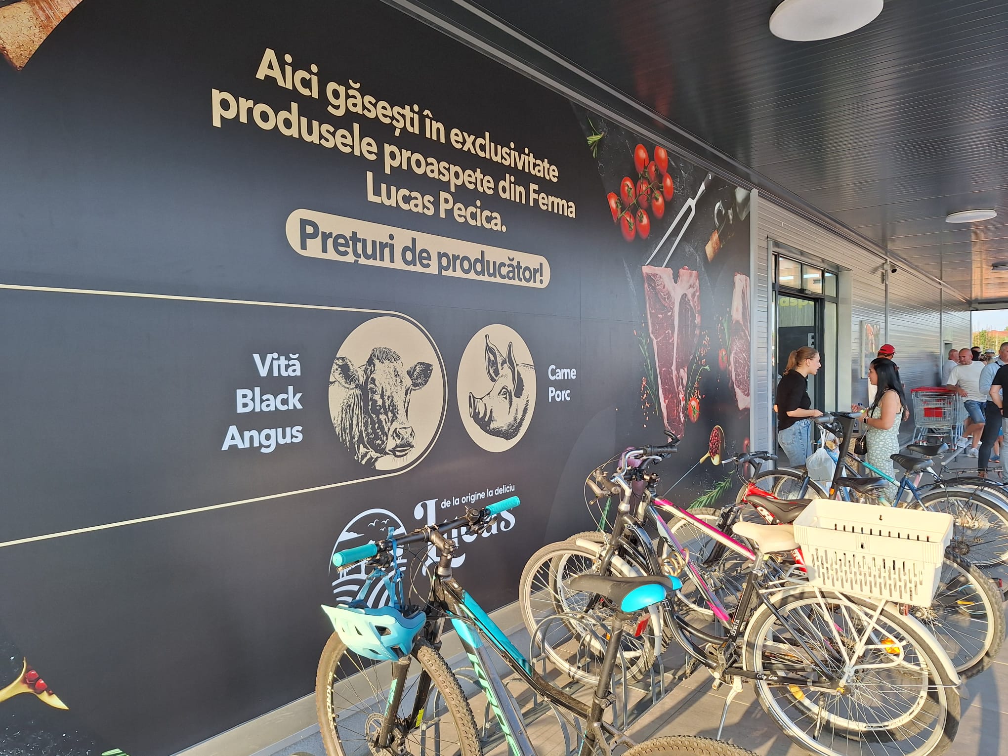 WhatsApp Image 2025-08-15 at 2.41.35 PM (1)