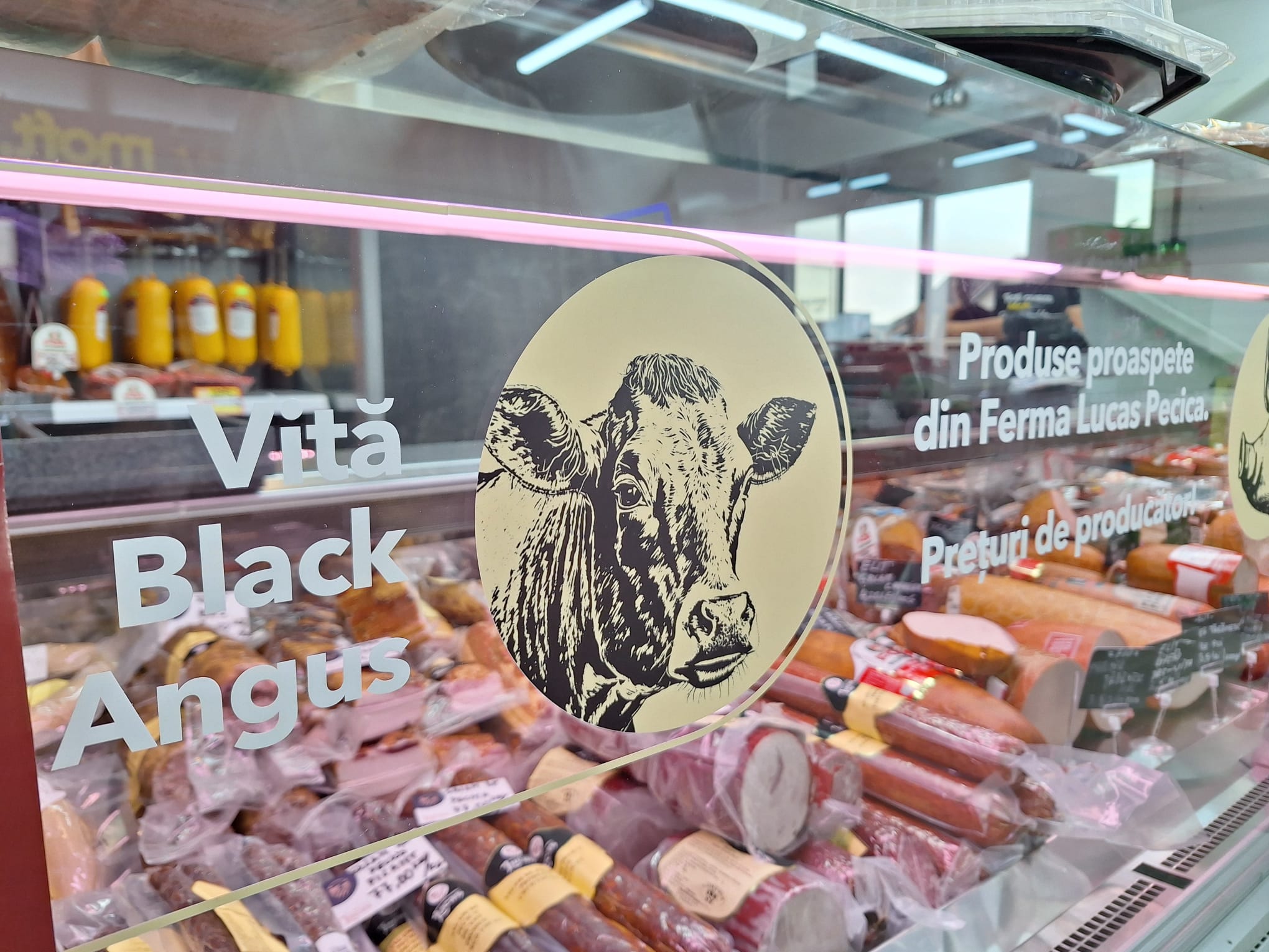 WhatsApp Image 2025-08-15 at 2.41.35 PM (2)