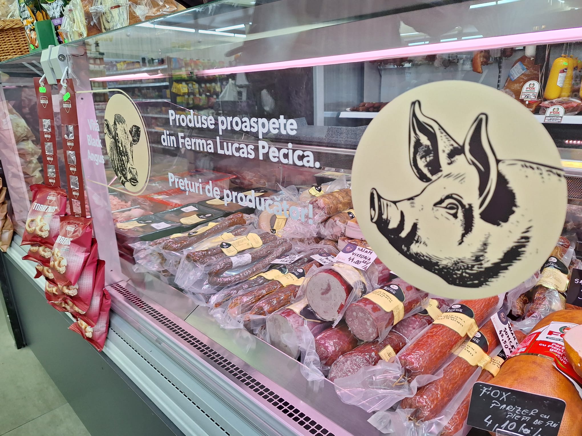 WhatsApp Image 2025-08-15 at 2.41.36 PM