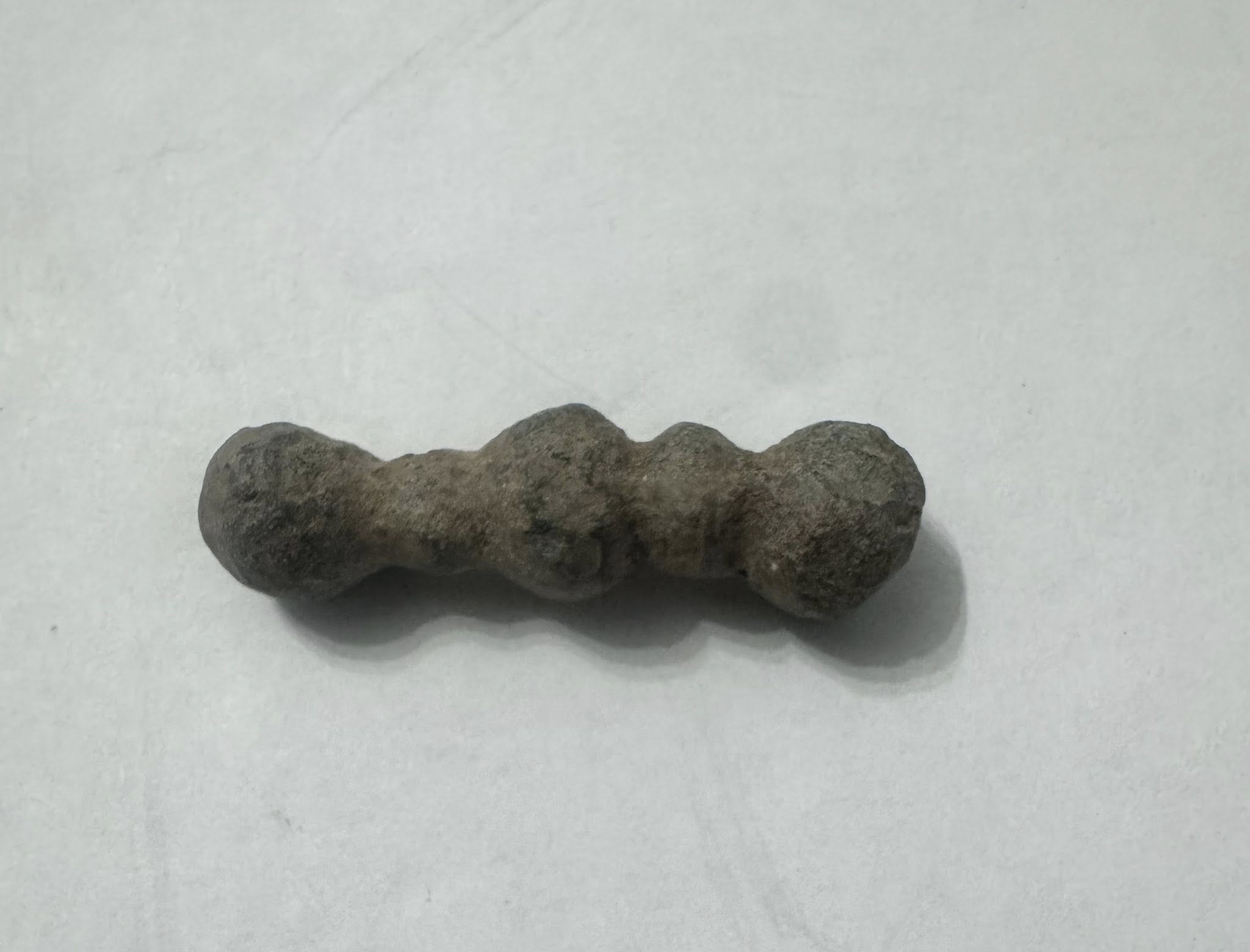 533412589_3153603434803137_1359662432761075821_n