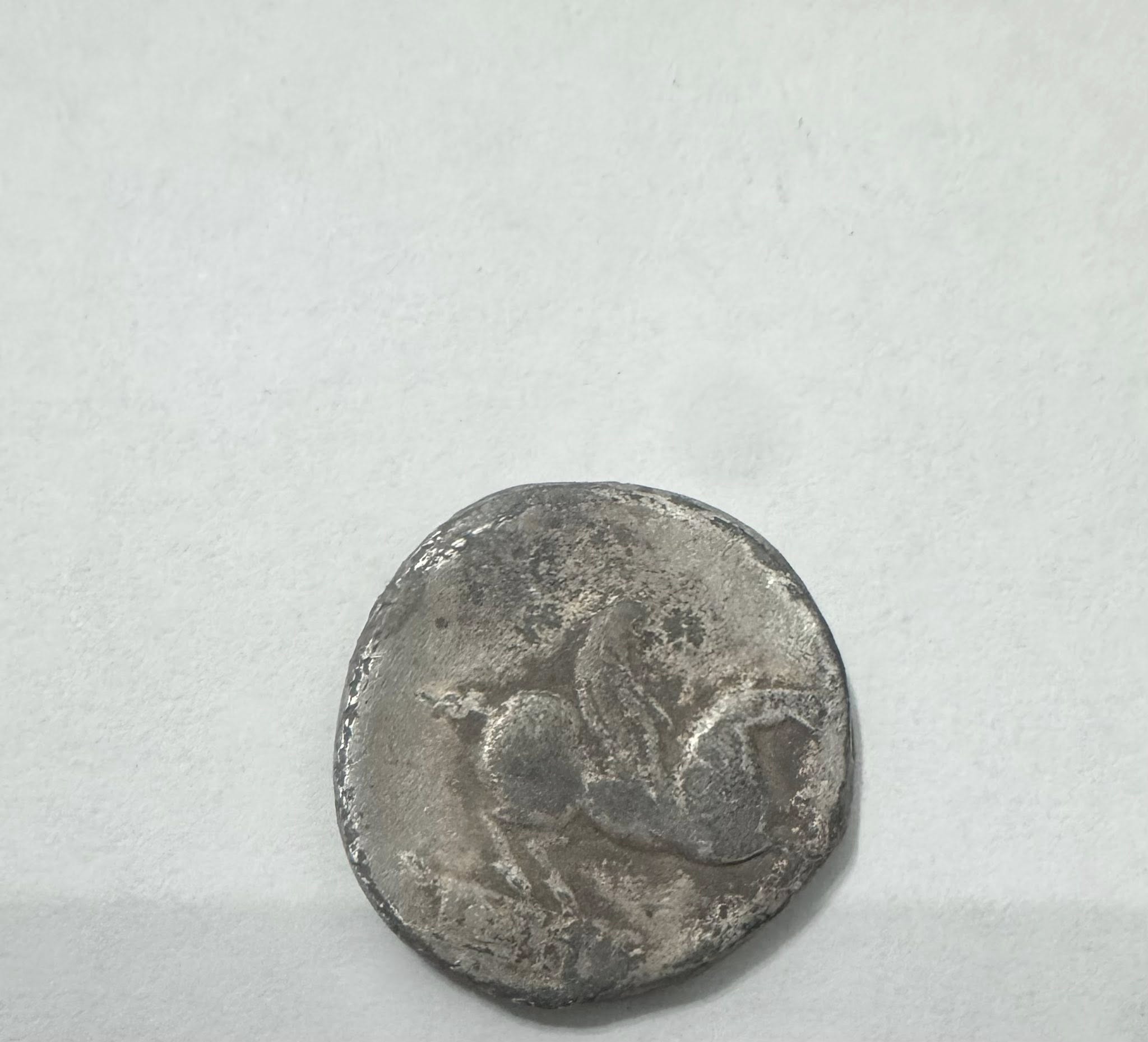 533551839_3153603431469804_2385128128654223220_n