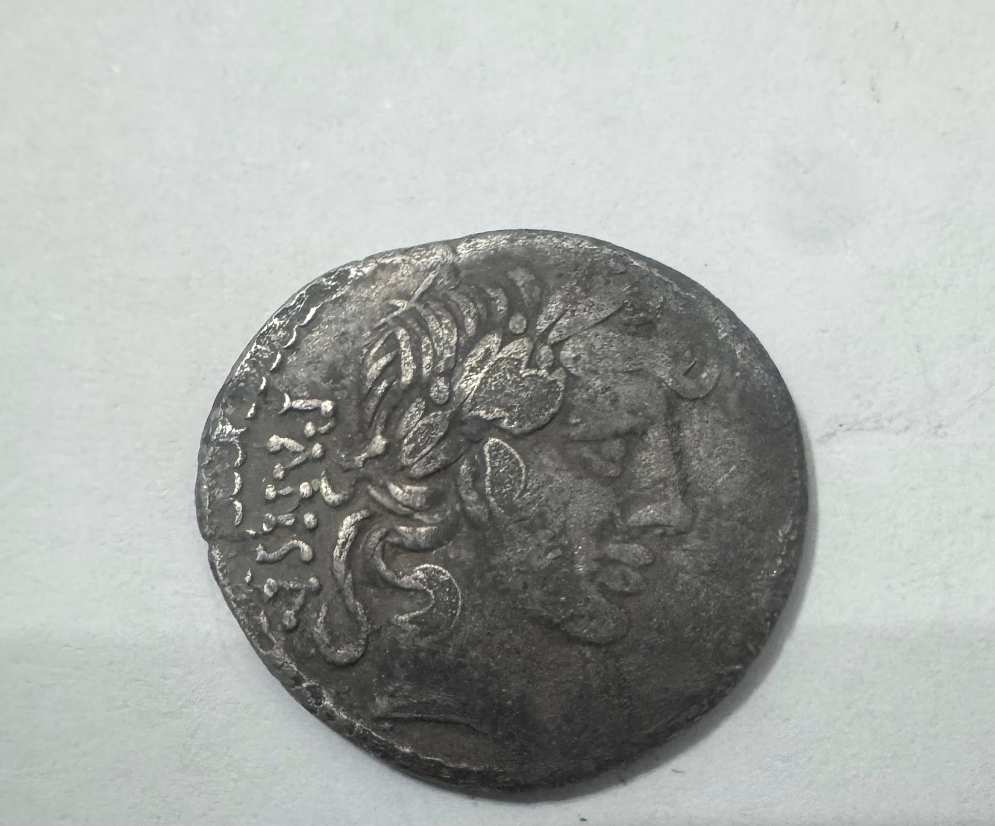 516392045_3153603471469800_4319280287953666031_n