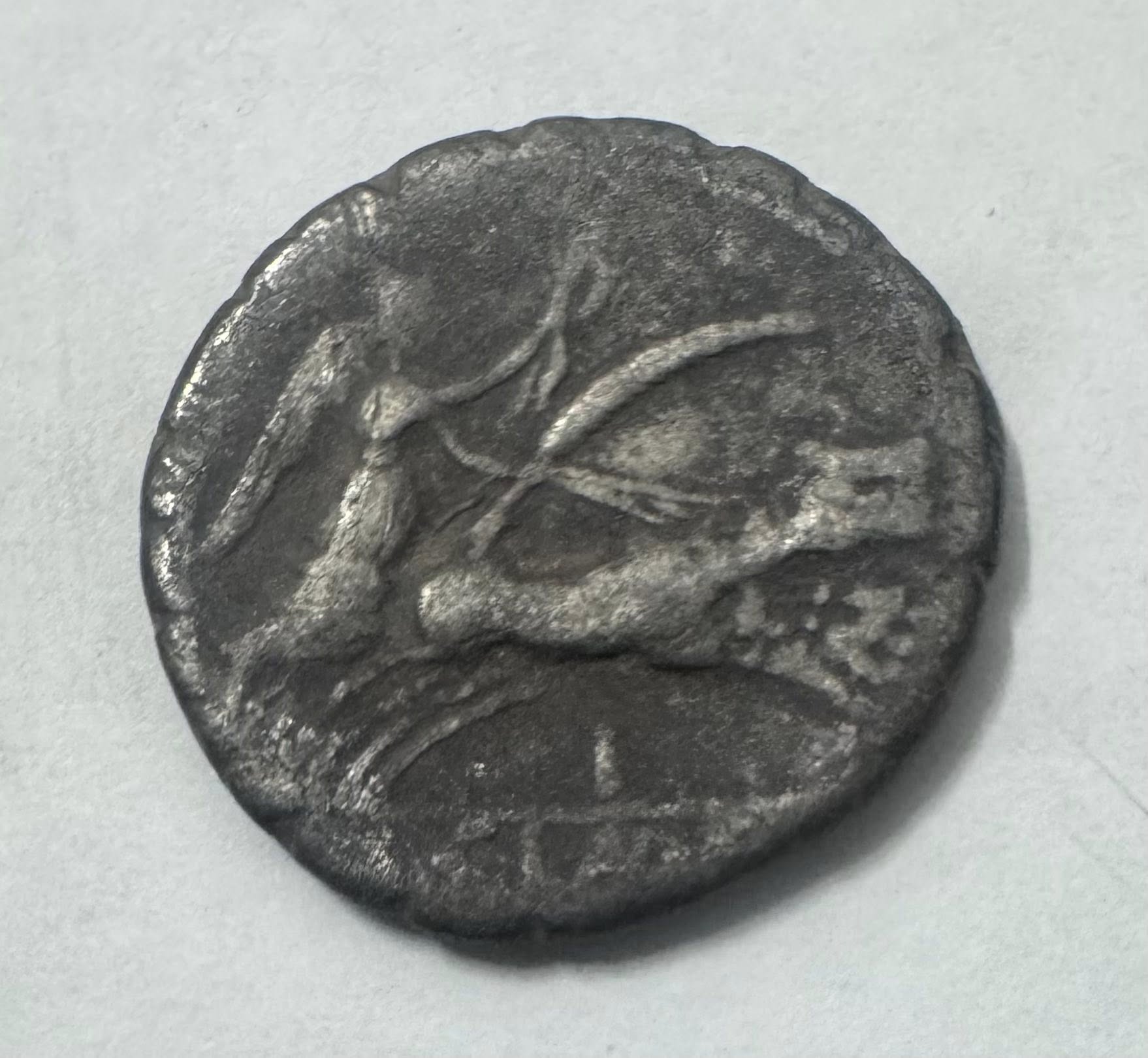 516425893_3153603164803164_1656814473016263862_n