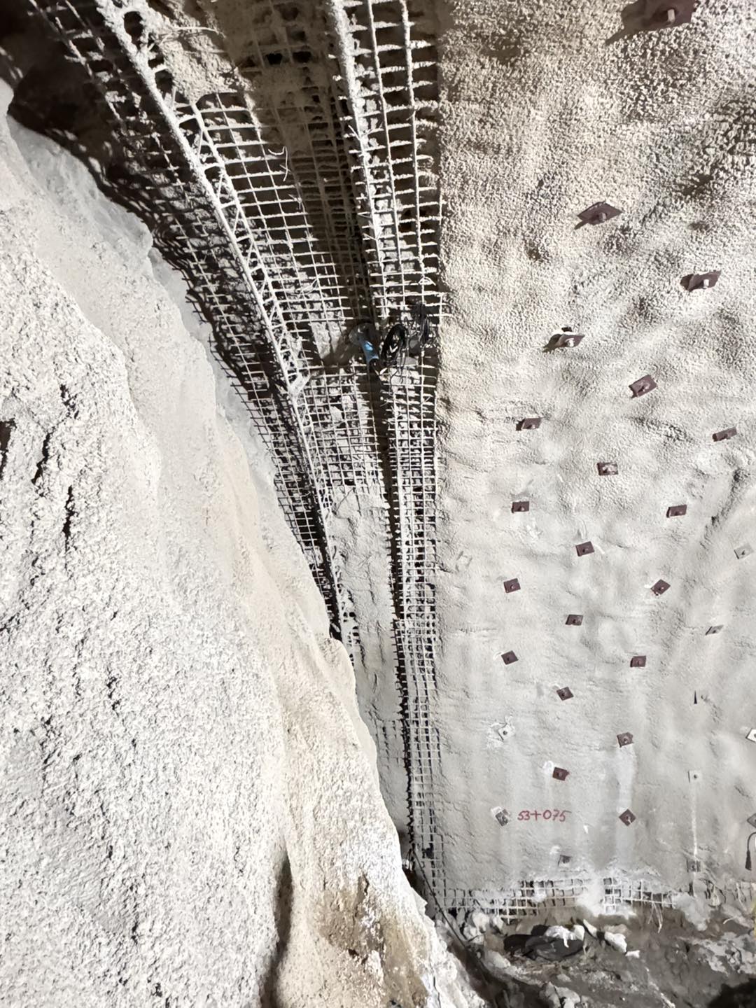 536134578_1076655657889327_6386243328574957841_n