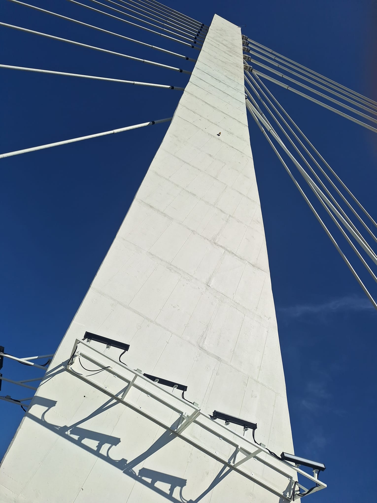 0b3a1959-d70b-4683-982c-914bea53f62b