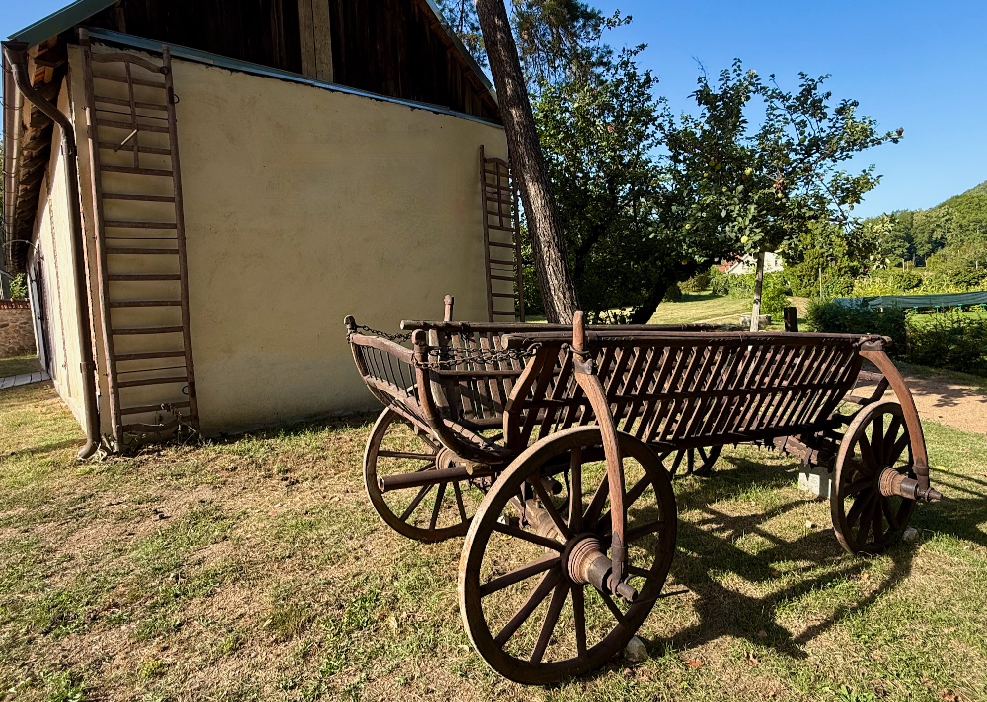 540886698_1329913272128109_1581333259340251502_n