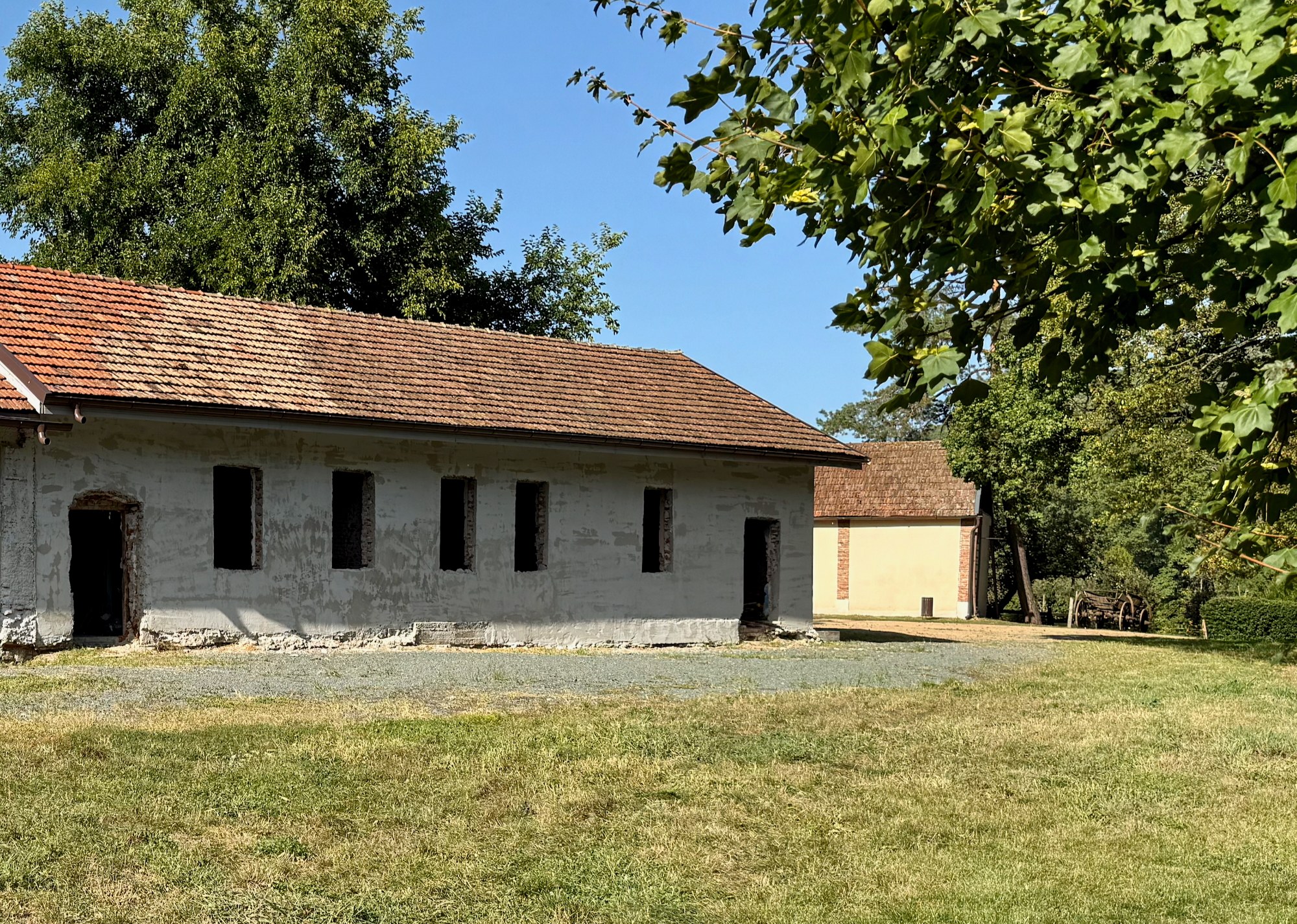 541444024_1329913175461452_805009280693307343_n