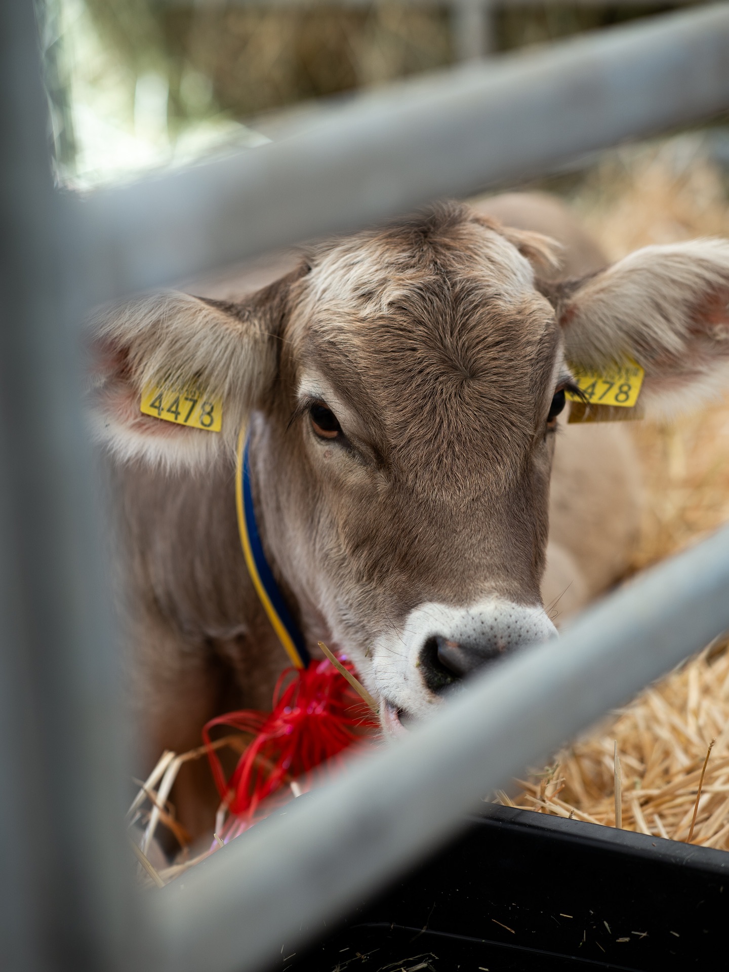 548488225_17907667509238677_3575286152198535863_n