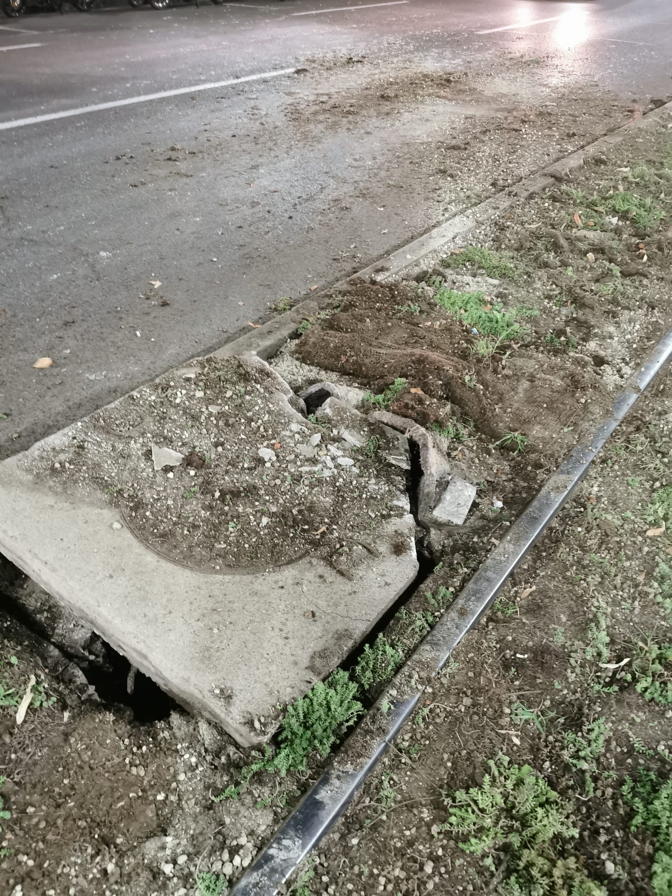 WhatsApp Image 2025-09-17 at 22.49.55