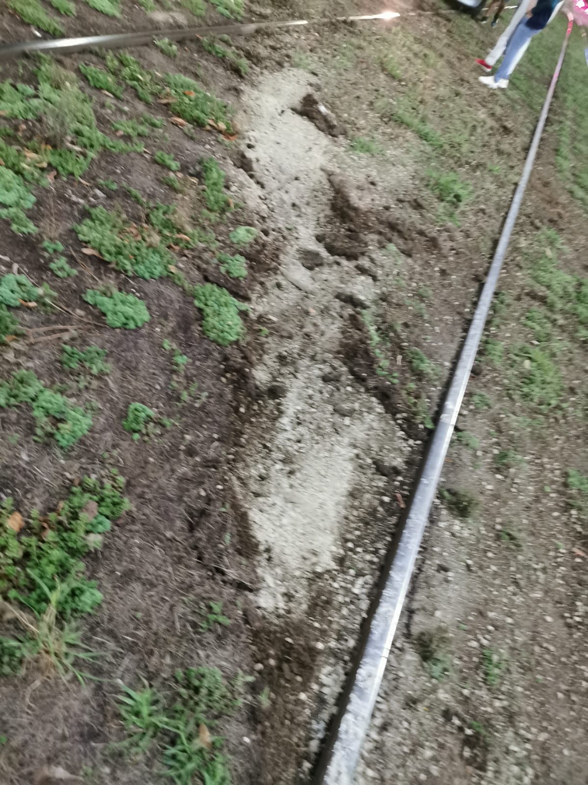 WhatsApp Image 2025-09-17 at 22.46.56