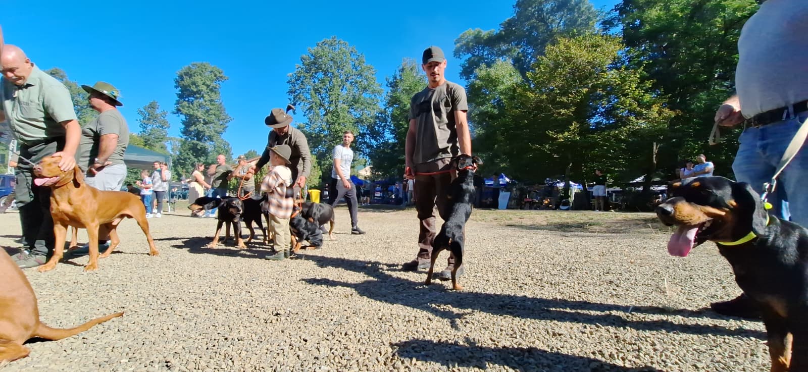 WhatsApp Image 2025-09-22 at 8.55.43 AM (1)