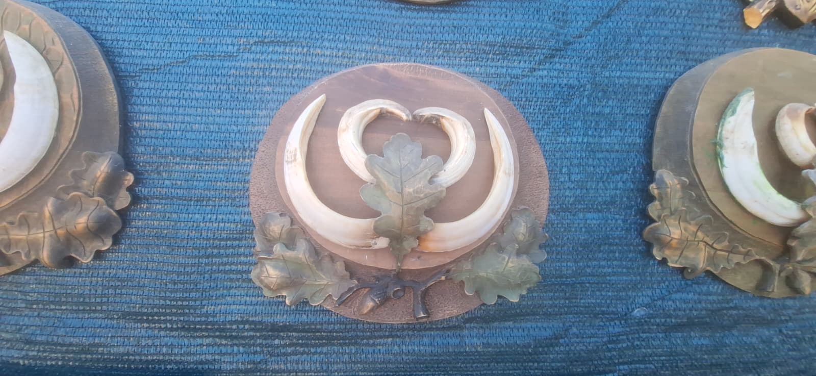 WhatsApp Image 2025-09-22 at 8.55.43 AM (3)