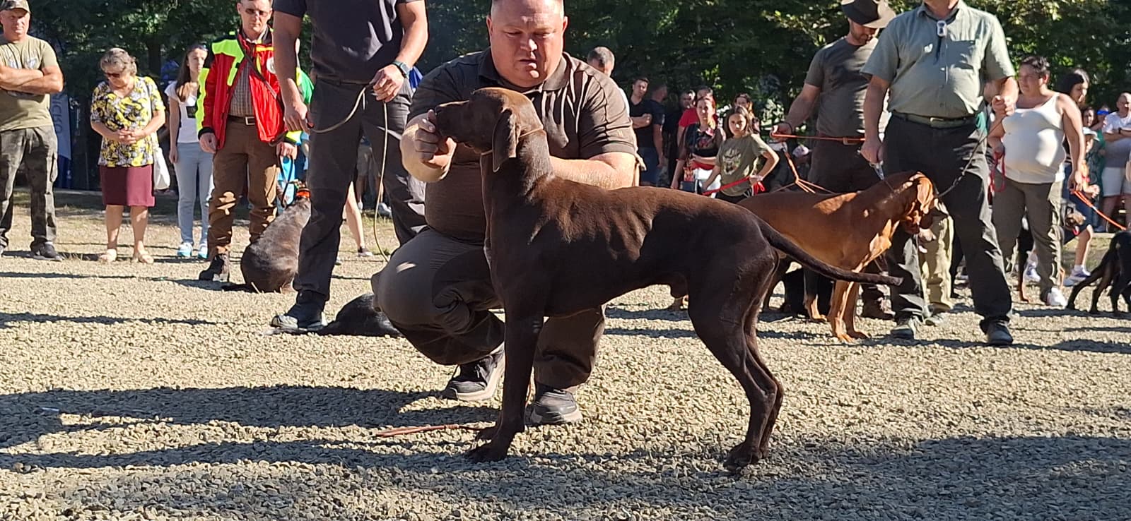 WhatsApp Image 2025-09-22 at 8.55.46 AM (2)