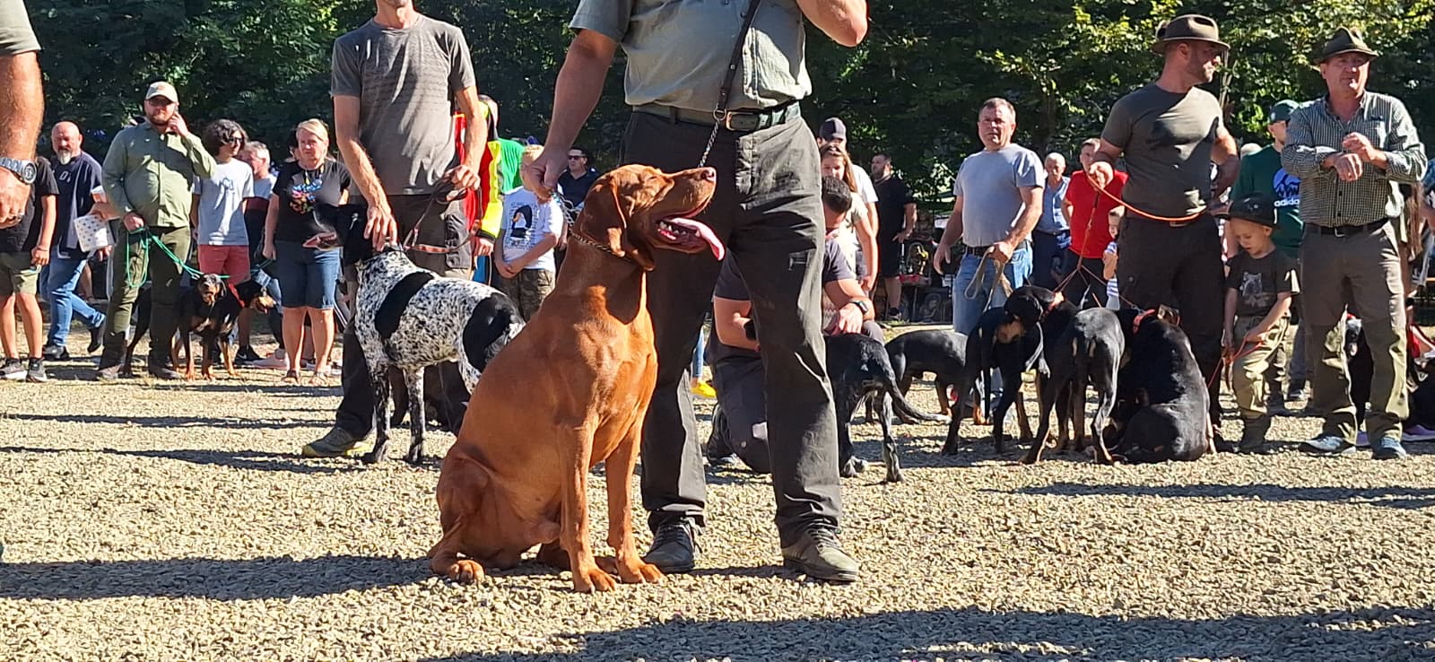 WhatsApp Image 2025-09-22 at 8.55.46 AM (3)