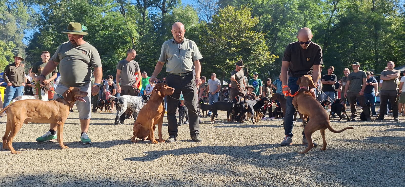 WhatsApp Image 2025-09-22 at 8.55.46 AM