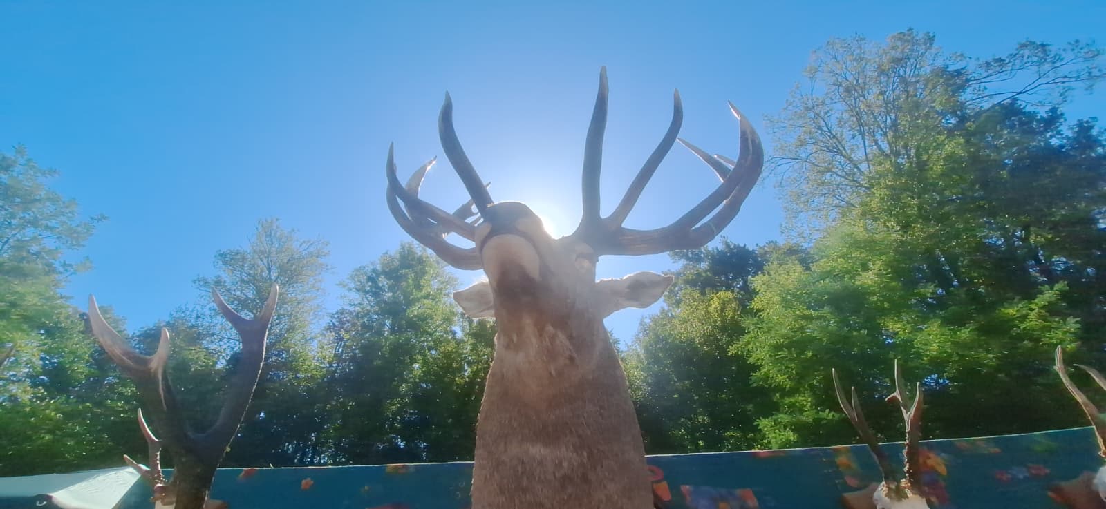 WhatsApp Image 2025-09-22 at 8.55.51 AM (2)