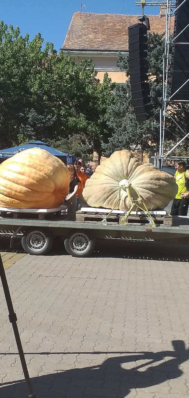 WhatsApp Image 2025-09-22 at 12.21.44