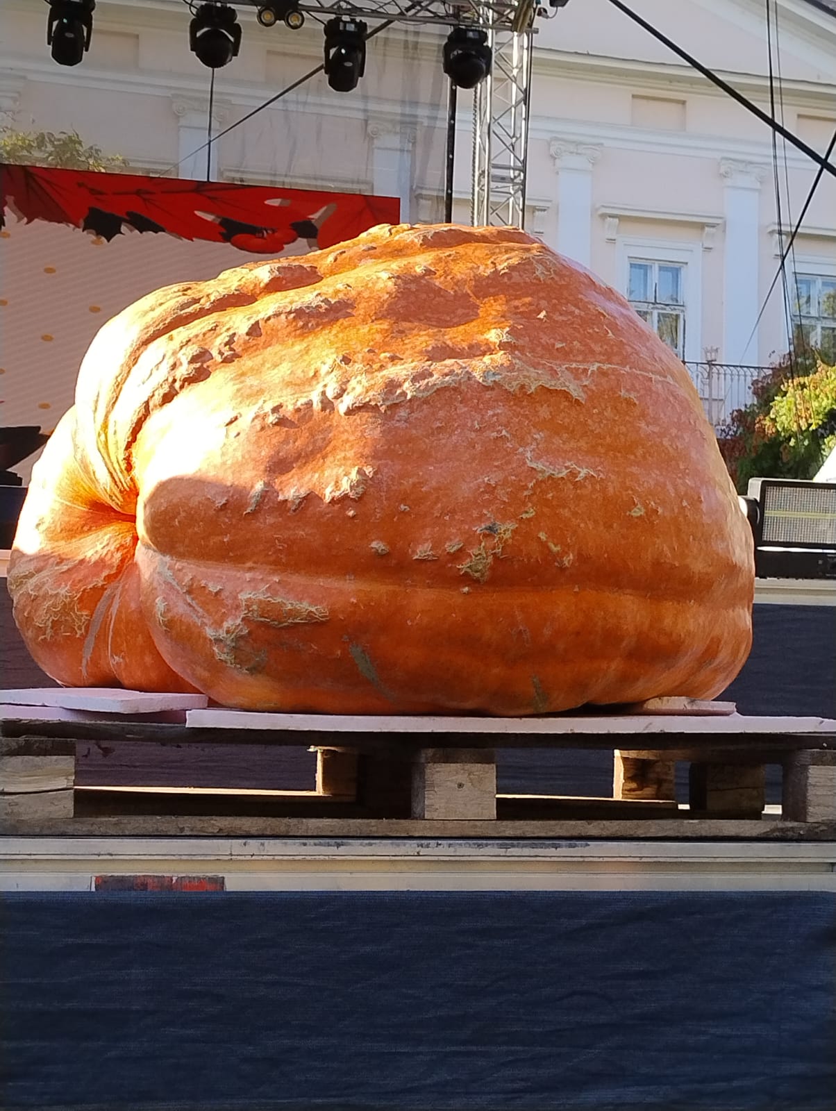333 kg
