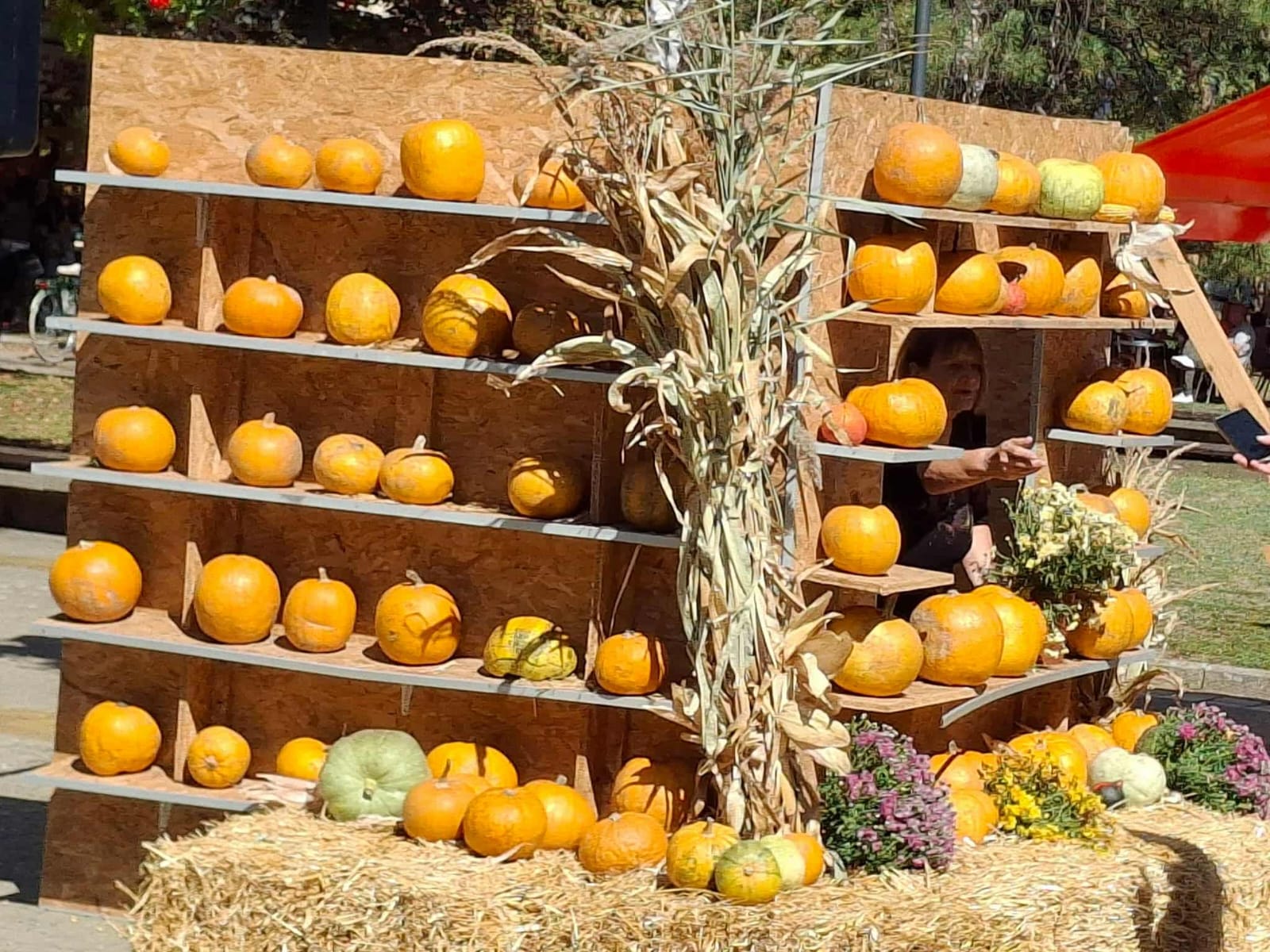 WhatsApp Image 2025-09-22 at 12.15.17 (3)