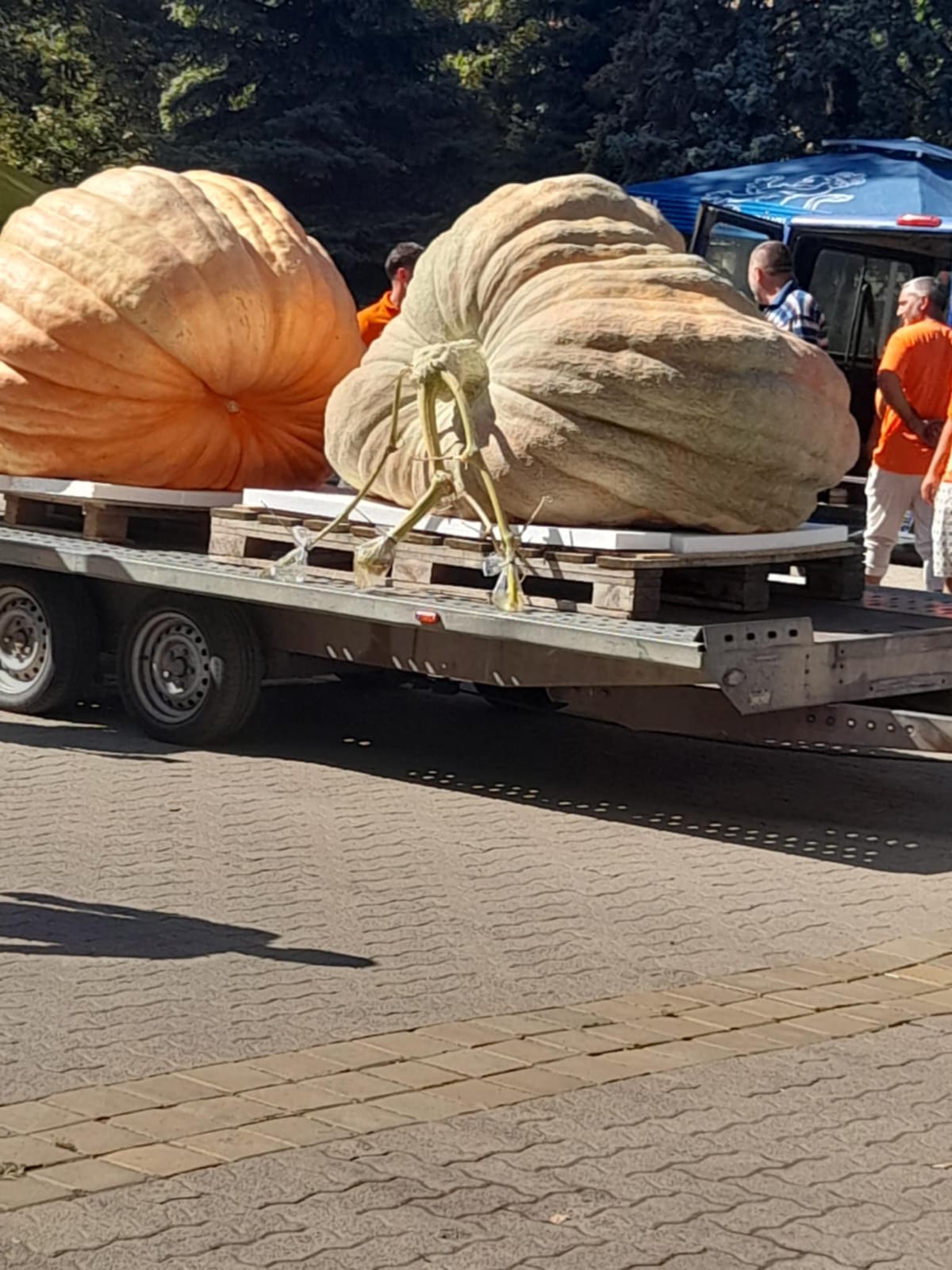 WhatsApp Image 2025-09-22 at 12.15.17