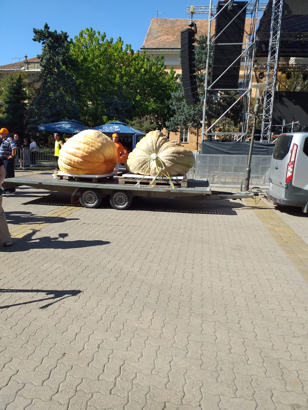 WhatsApp Image 2025-09-22 at 12.15.18 (5)