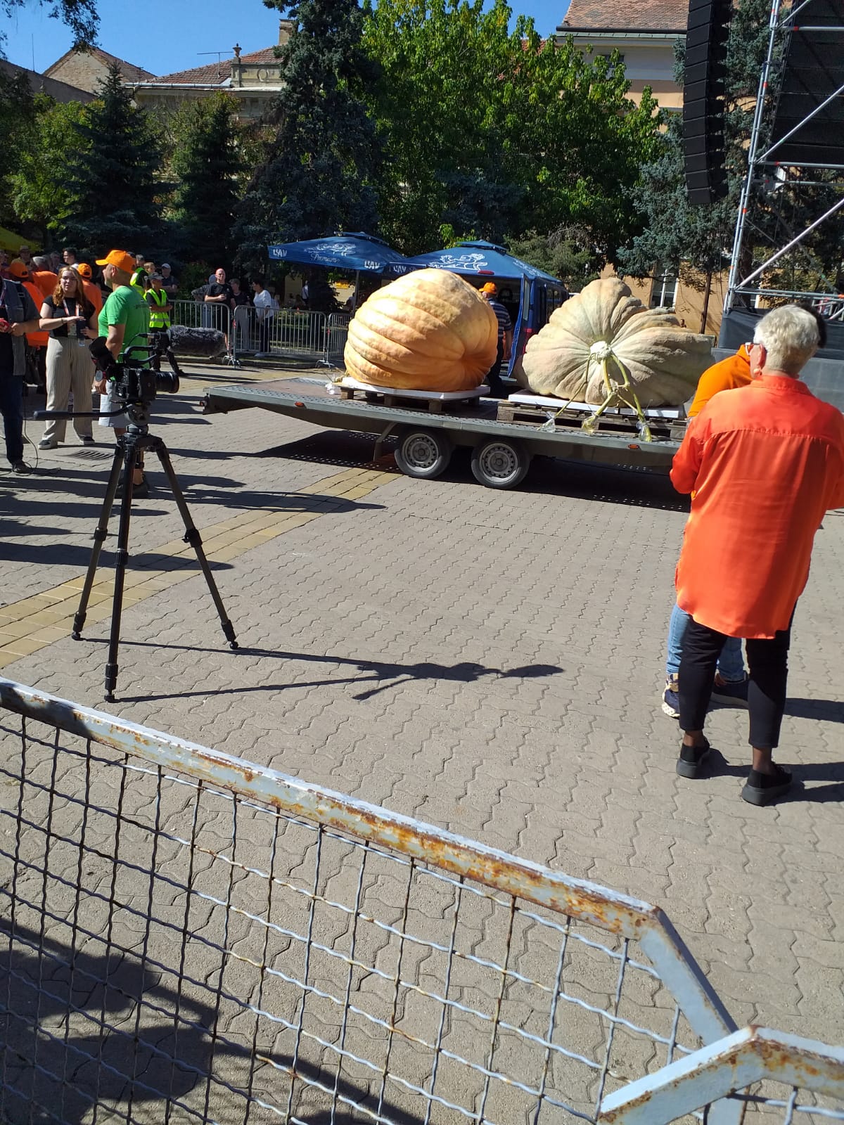 WhatsApp Image 2025-09-22 at 12.15.19