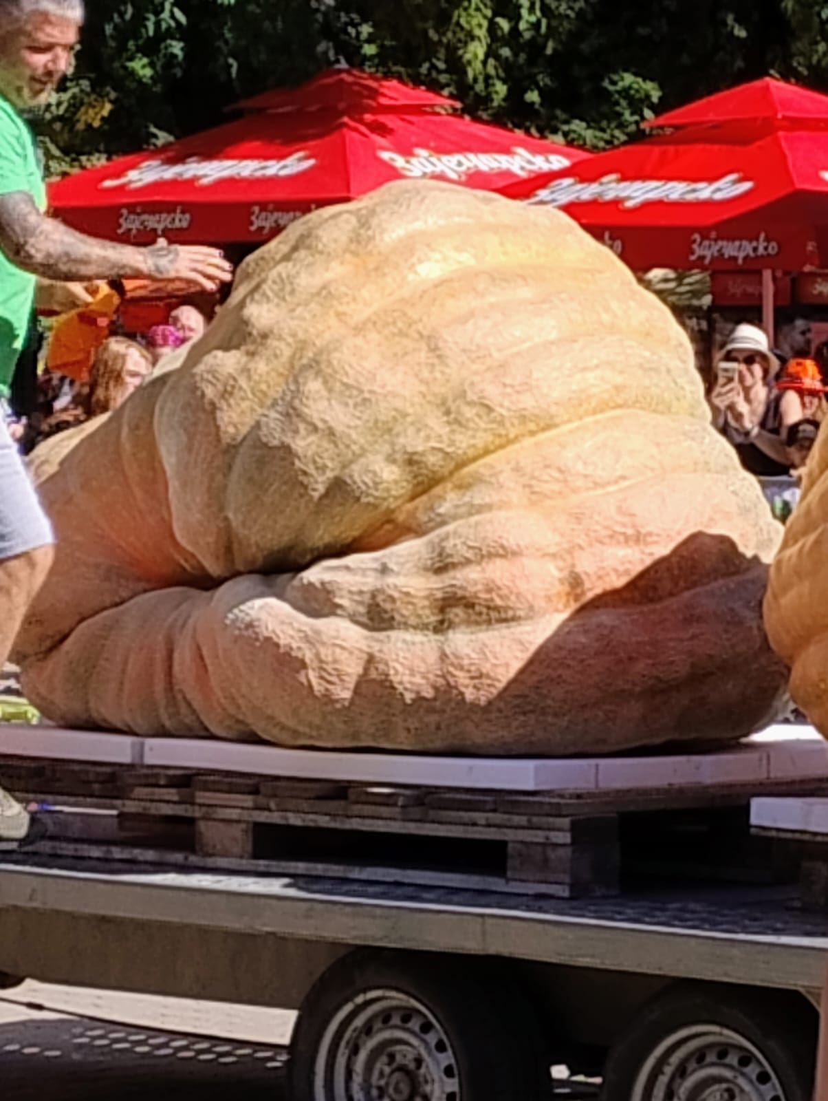 WhatsApp Image 2025-09-22 at 12.15.56 (3)