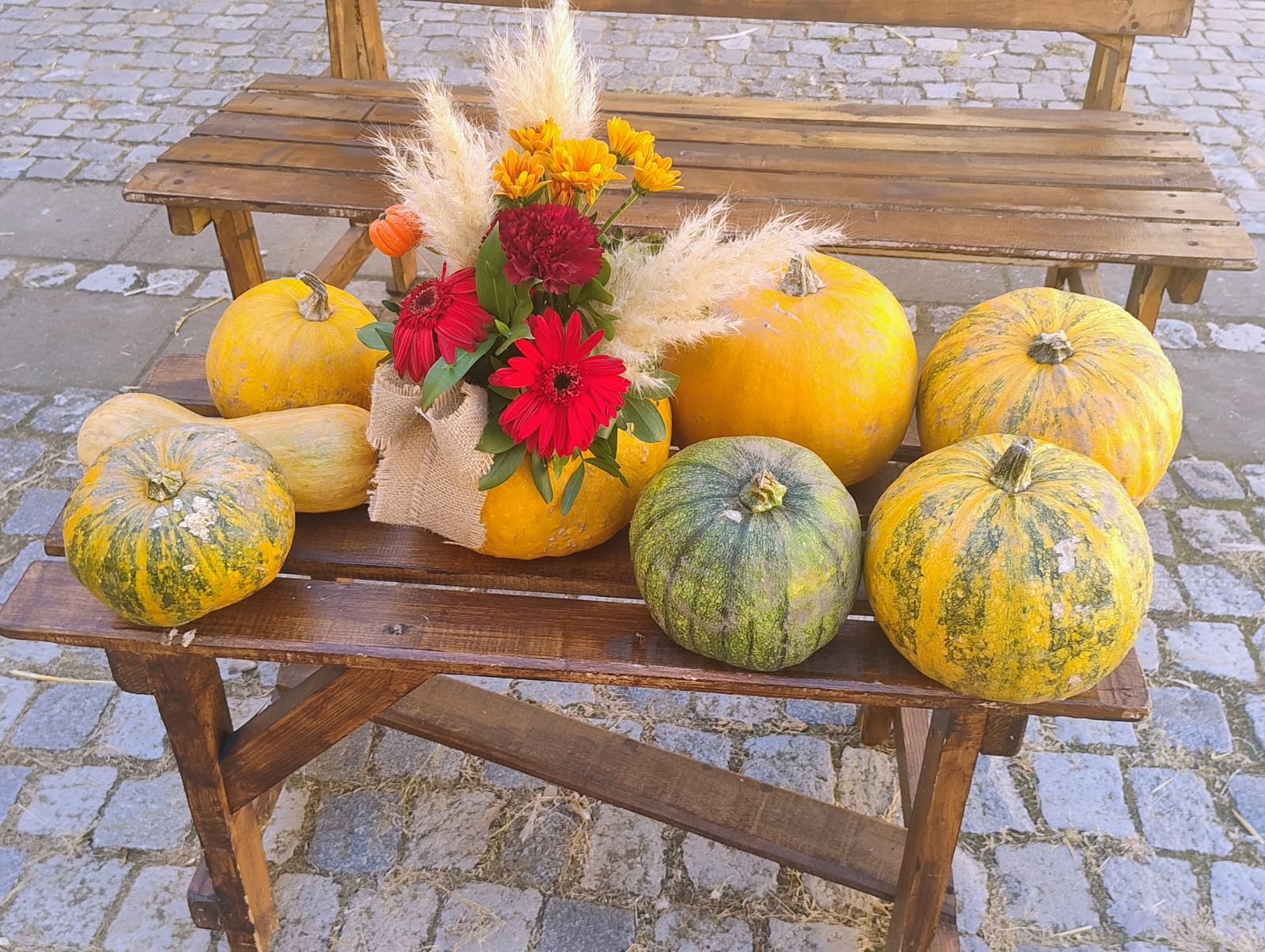 WhatsApp Image 2025-09-22 at 12.15.56