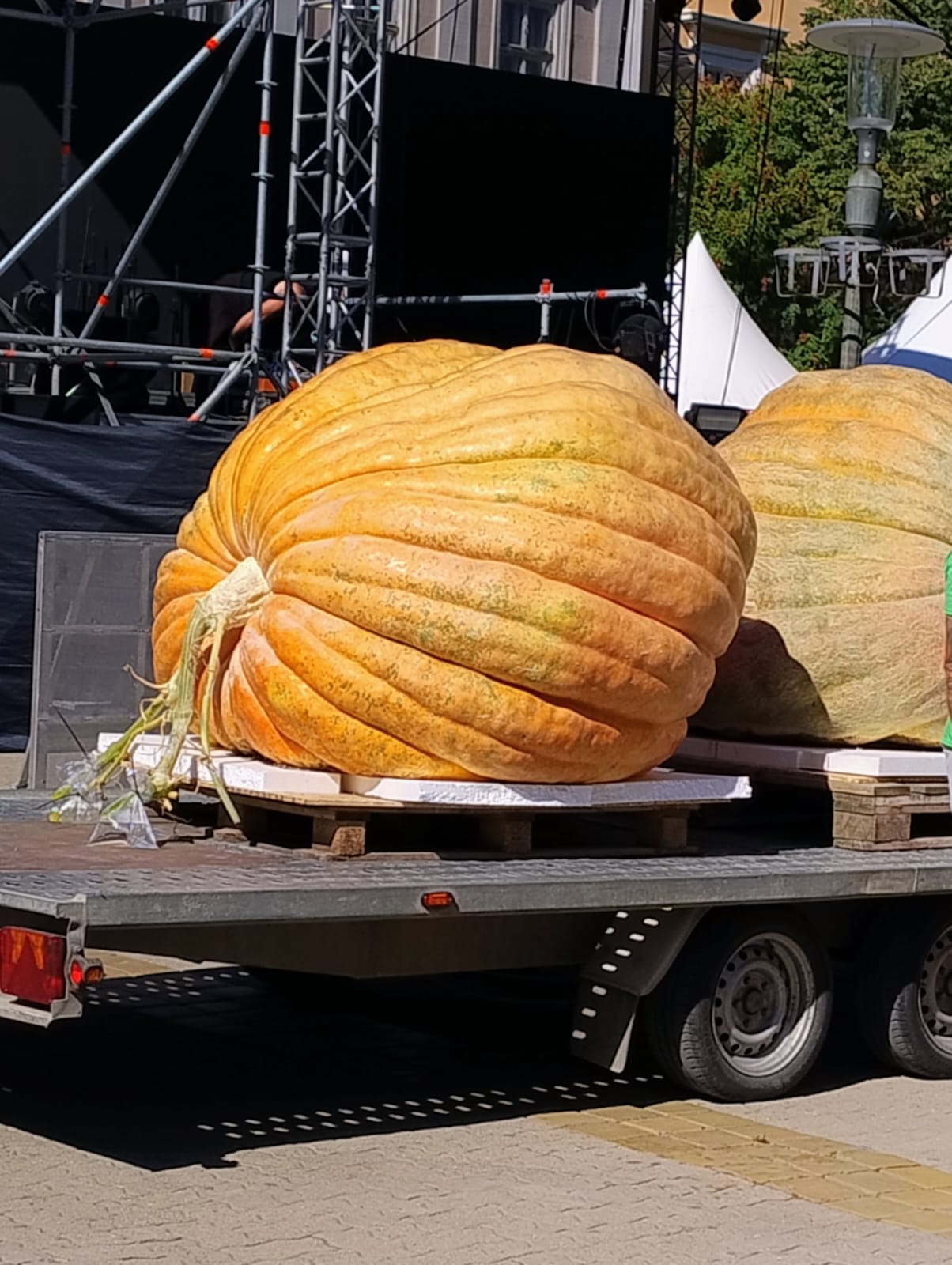 WhatsApp Image 2025-09-22 at 12.15.57 (1)