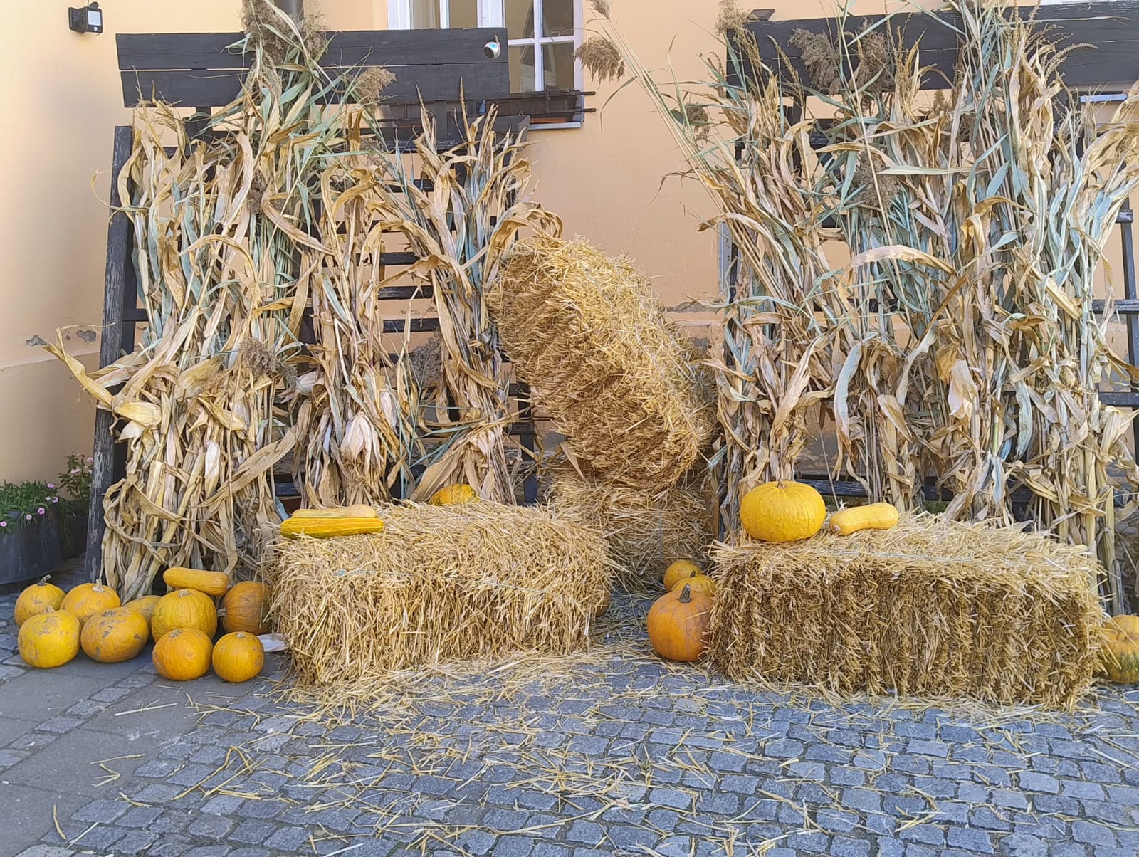 WhatsApp Image 2025-09-22 at 12.15.57 (2)