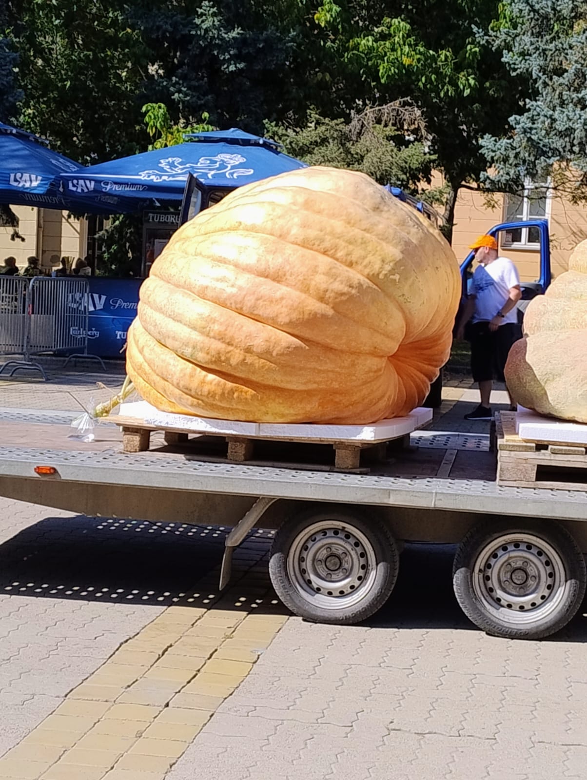 WhatsApp Image 2025-09-22 at 12.15.57