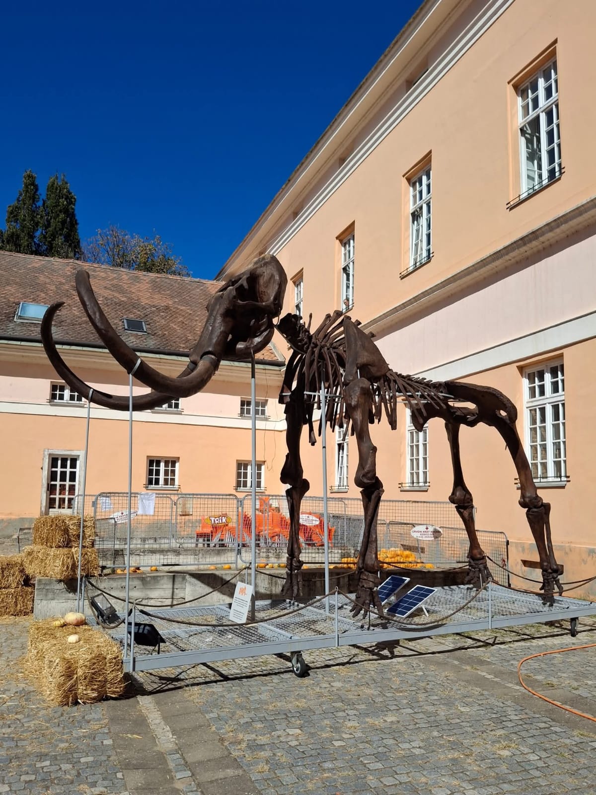 WhatsApp Image 2025-09-22 at 12.20.00