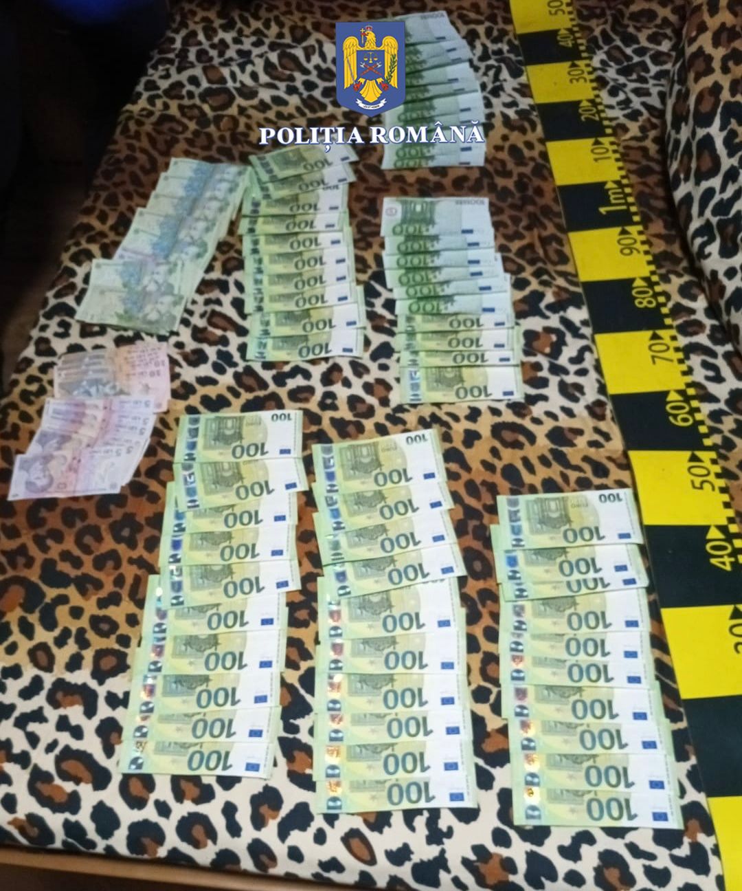 WhatsApp Image 2025-09-27 at 09.19.41