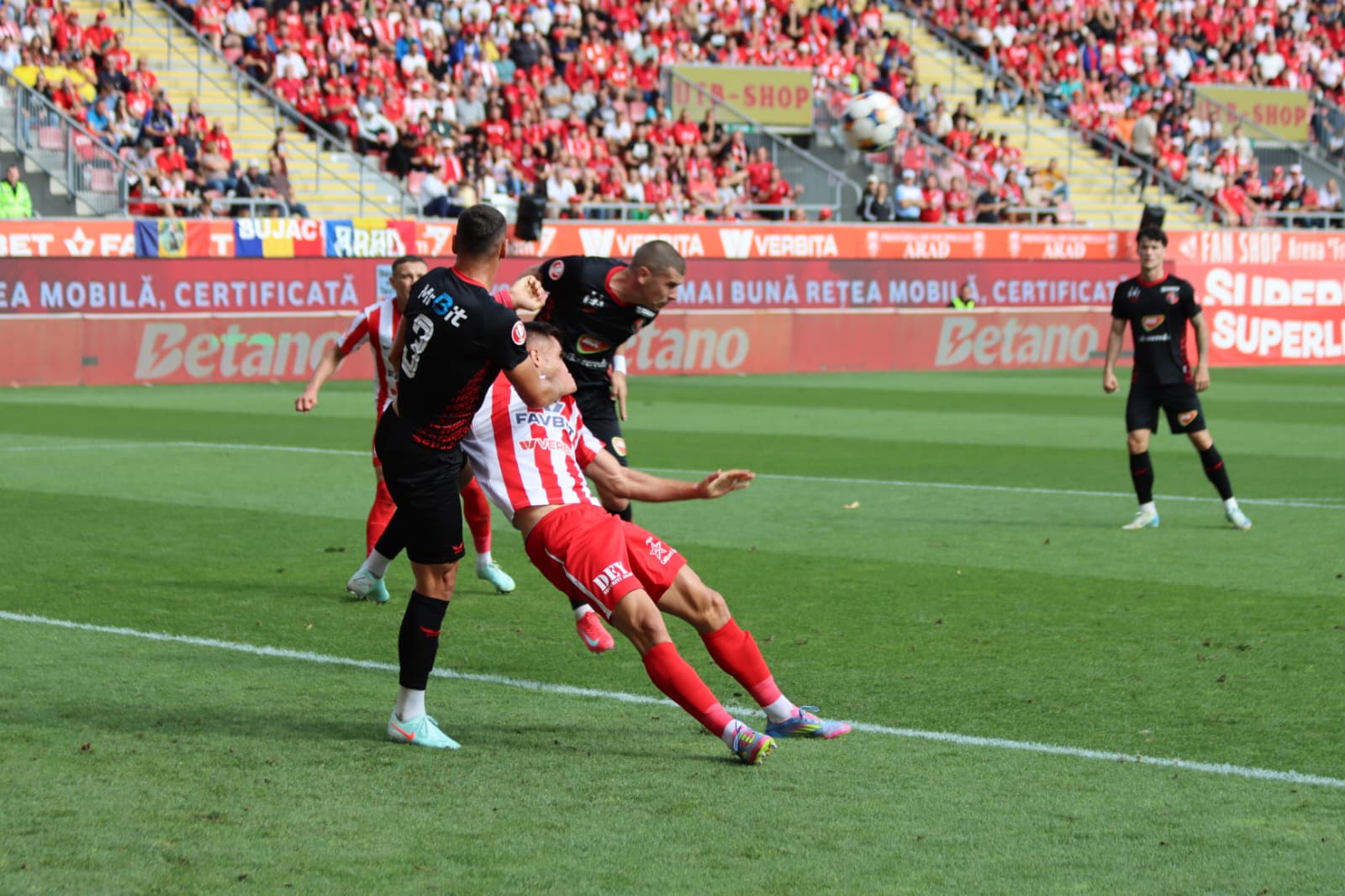 WhatsApp Image 2025-09-27 at 15.55.15