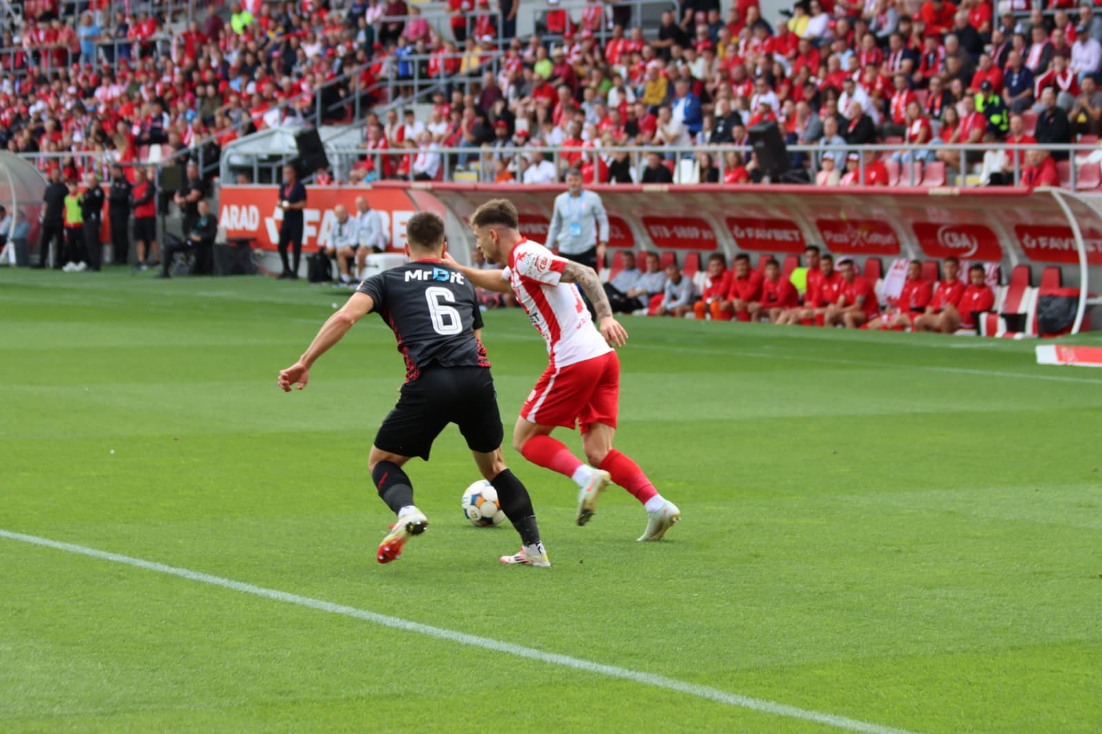 WhatsApp Image 2025-09-27 at 15.55.11