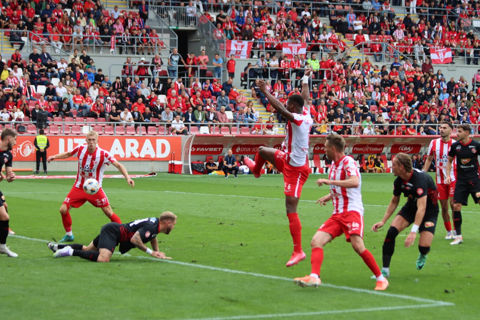 WhatsApp Image 2025-09-27 at 17.03.41 (1)