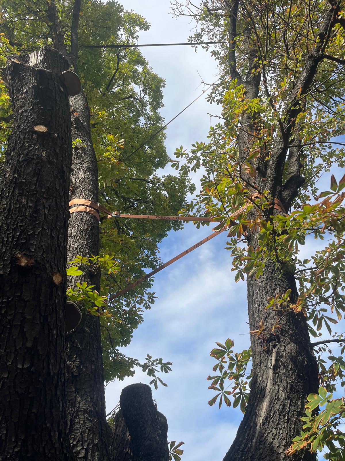 WhatsApp Image 2025-09-29 at 3.52.21 PM (1)