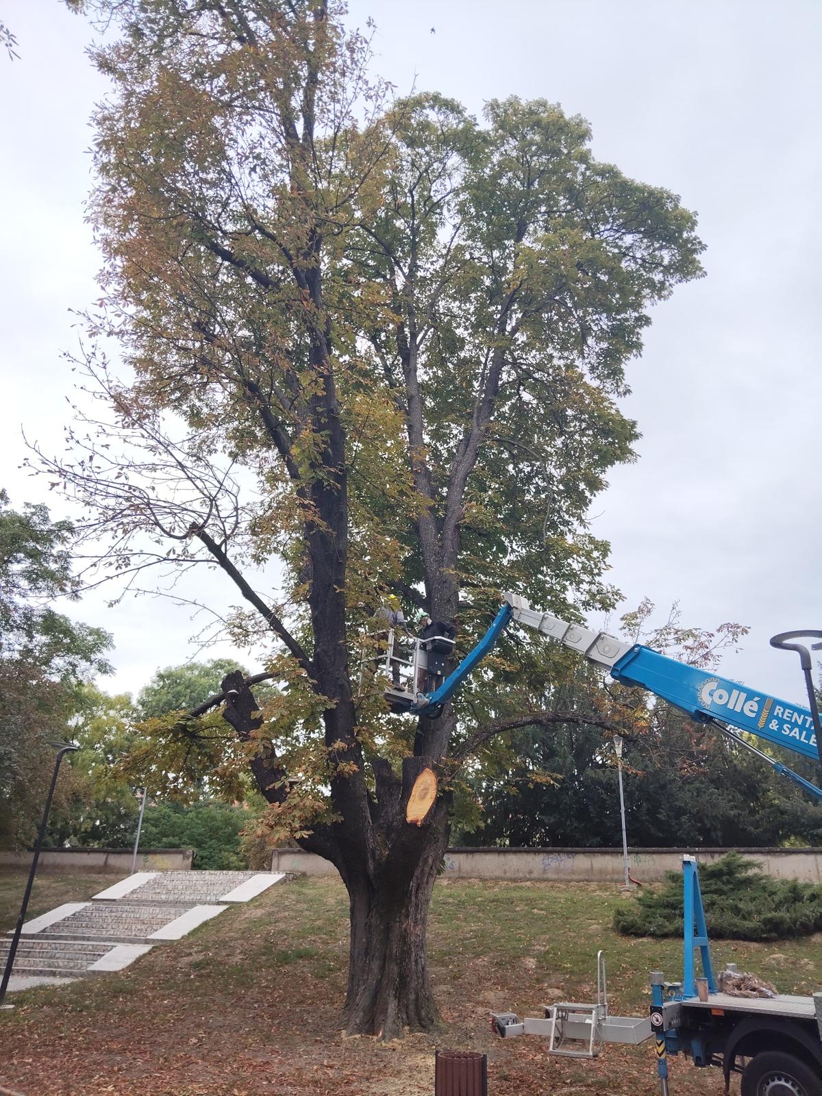 WhatsApp Image 2025-09-29 at 3.52.21 PM (2)