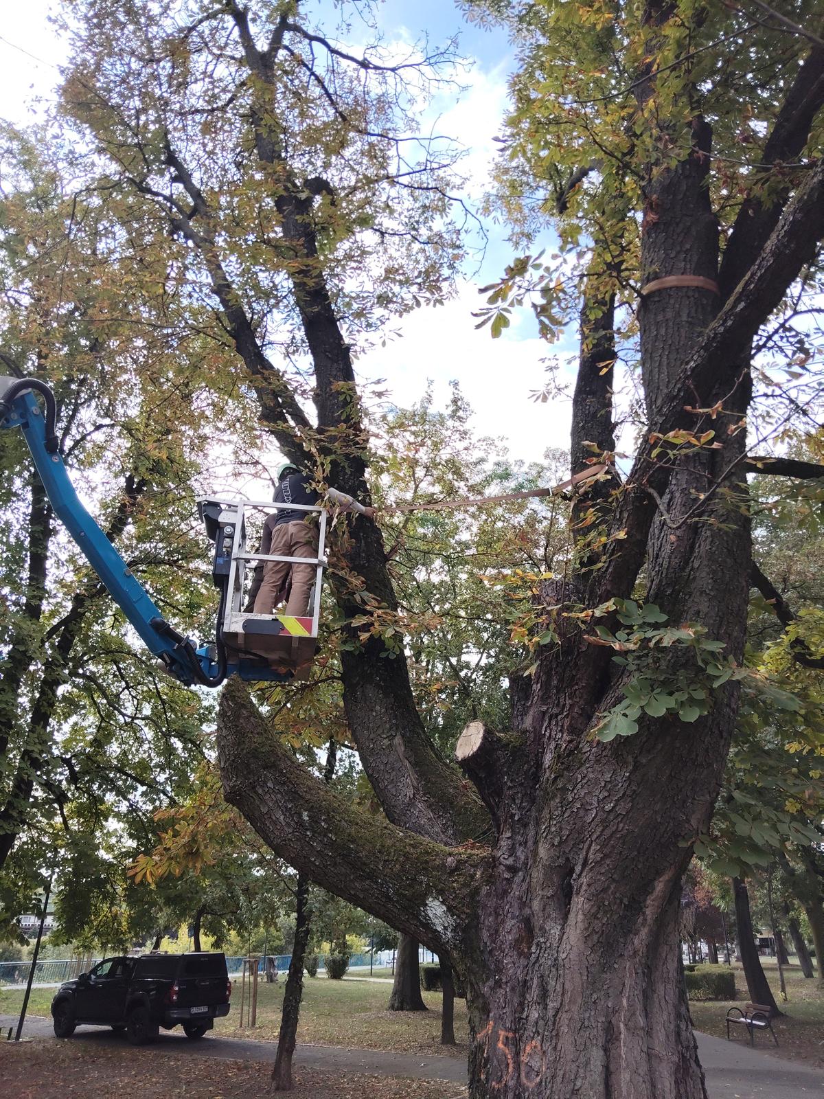 WhatsApp Image 2025-09-29 at 3.52.22 PM (1)