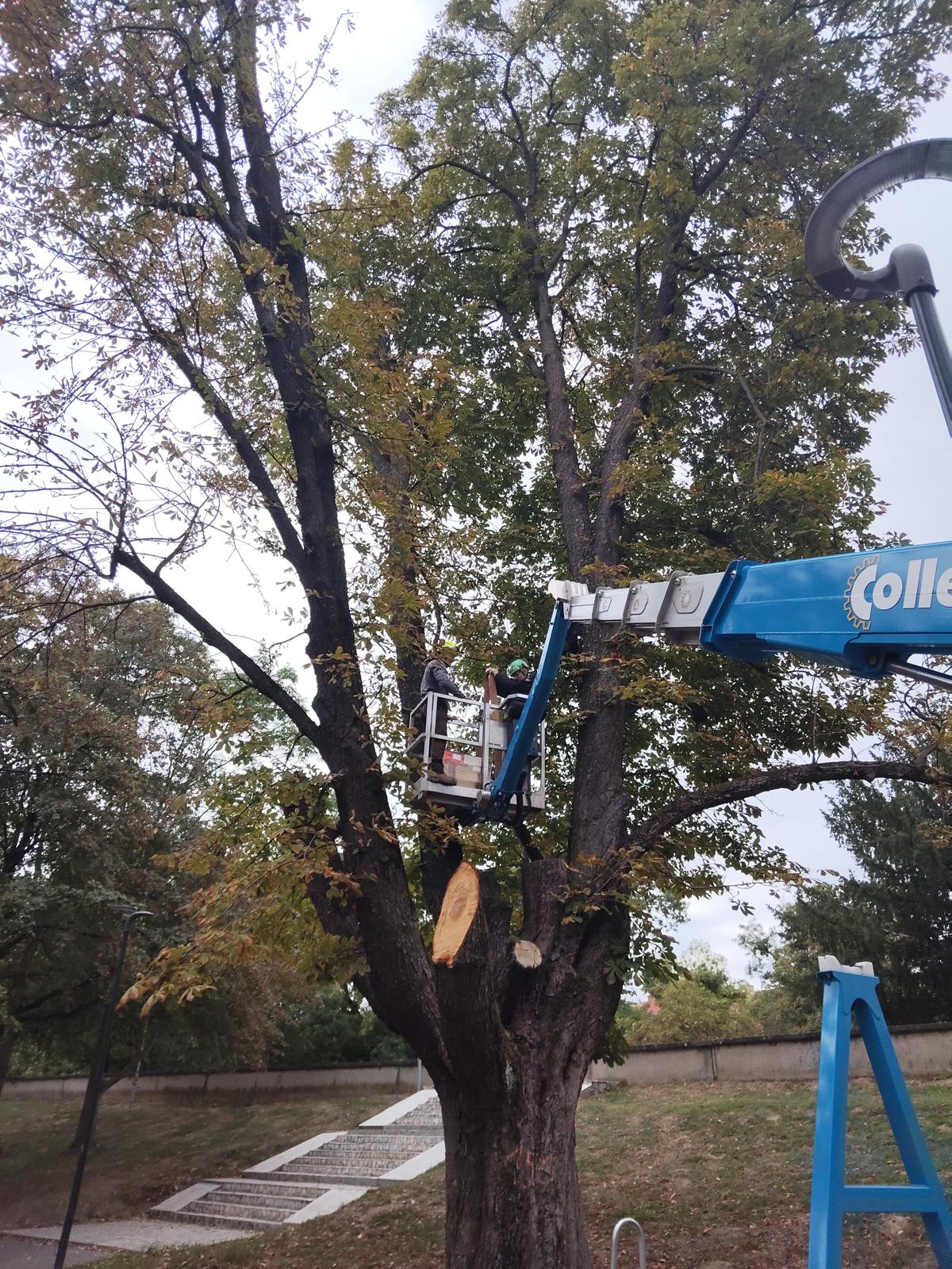 WhatsApp Image 2025-09-29 at 3.52.22 PM (2)