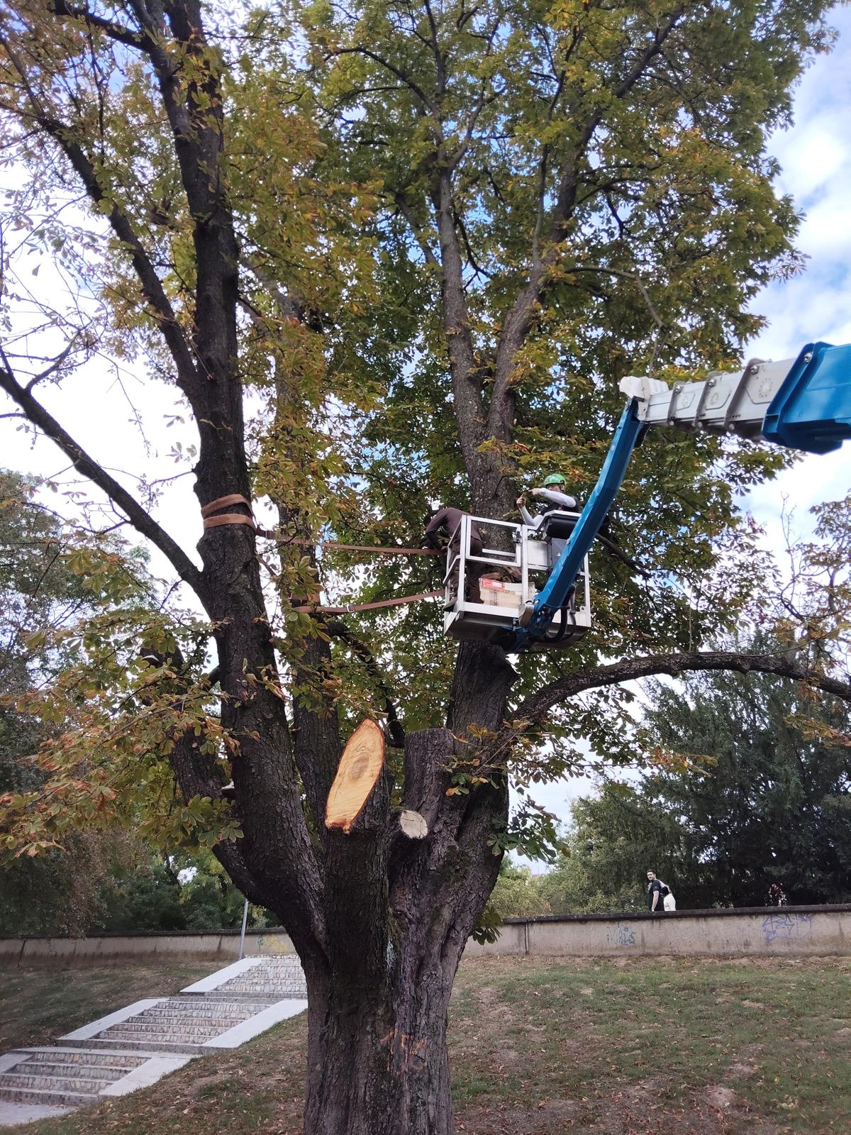 WhatsApp Image 2025-09-29 at 3.52.22 PM (3)