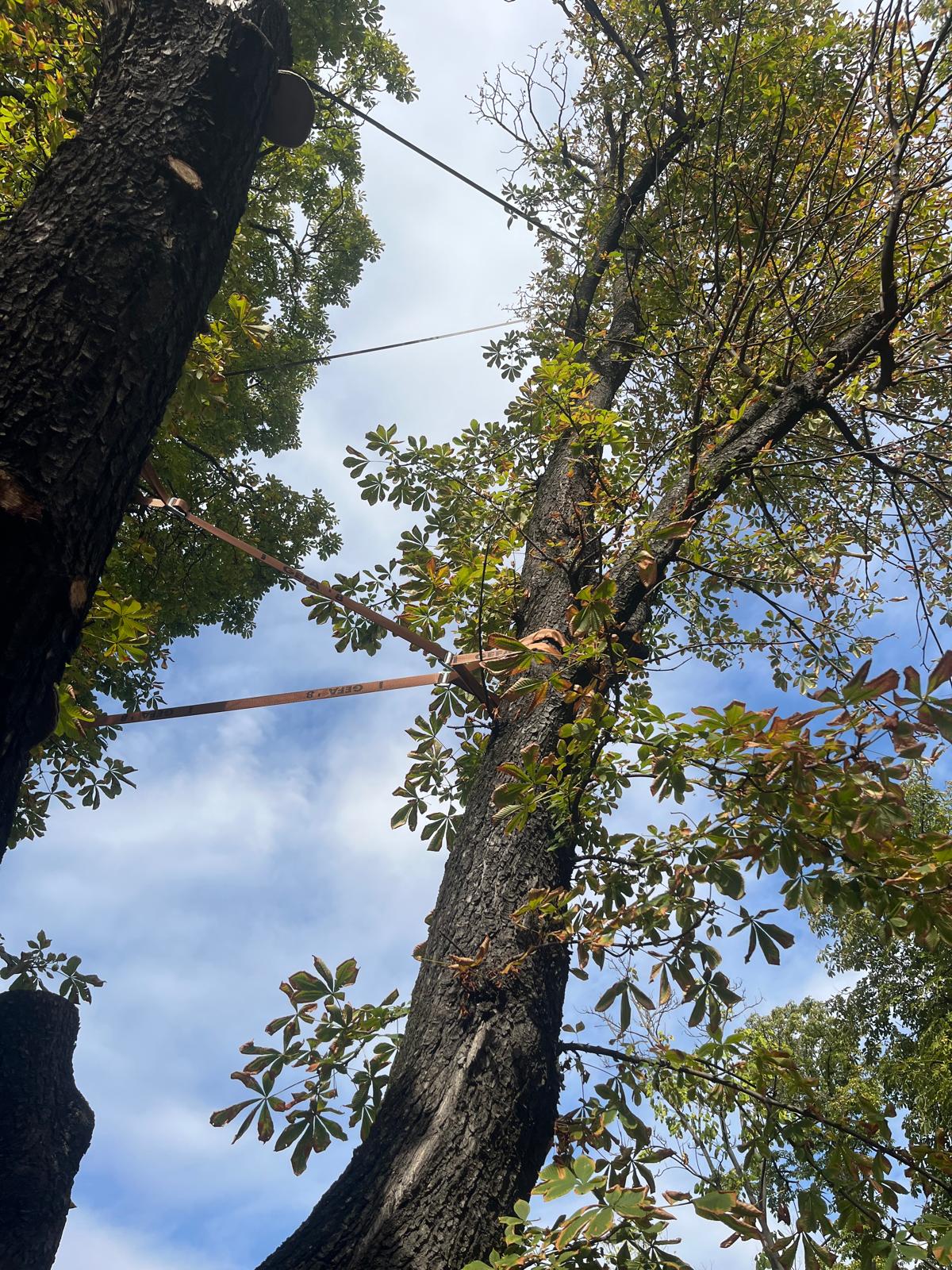 WhatsApp Image 2025-09-29 at 3.52.22 PM