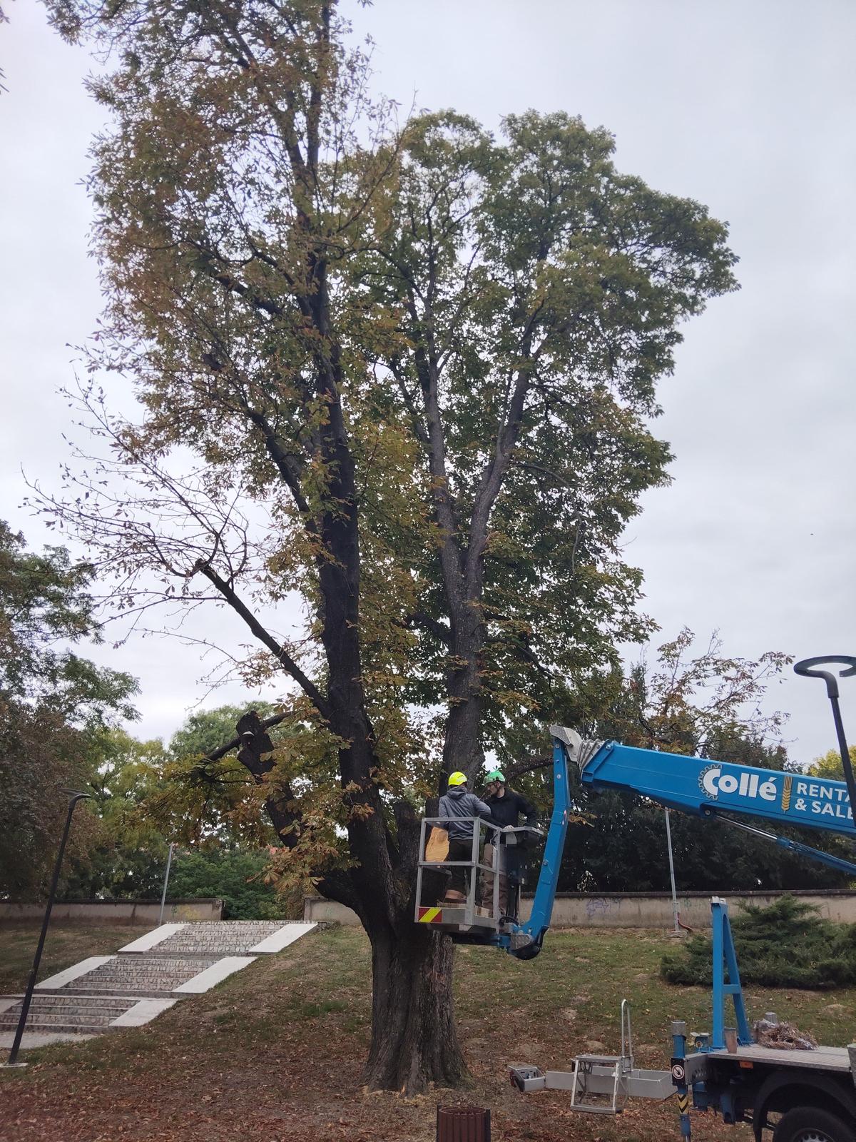 WhatsApp Image 2025-09-29 at 3.52.23 PM