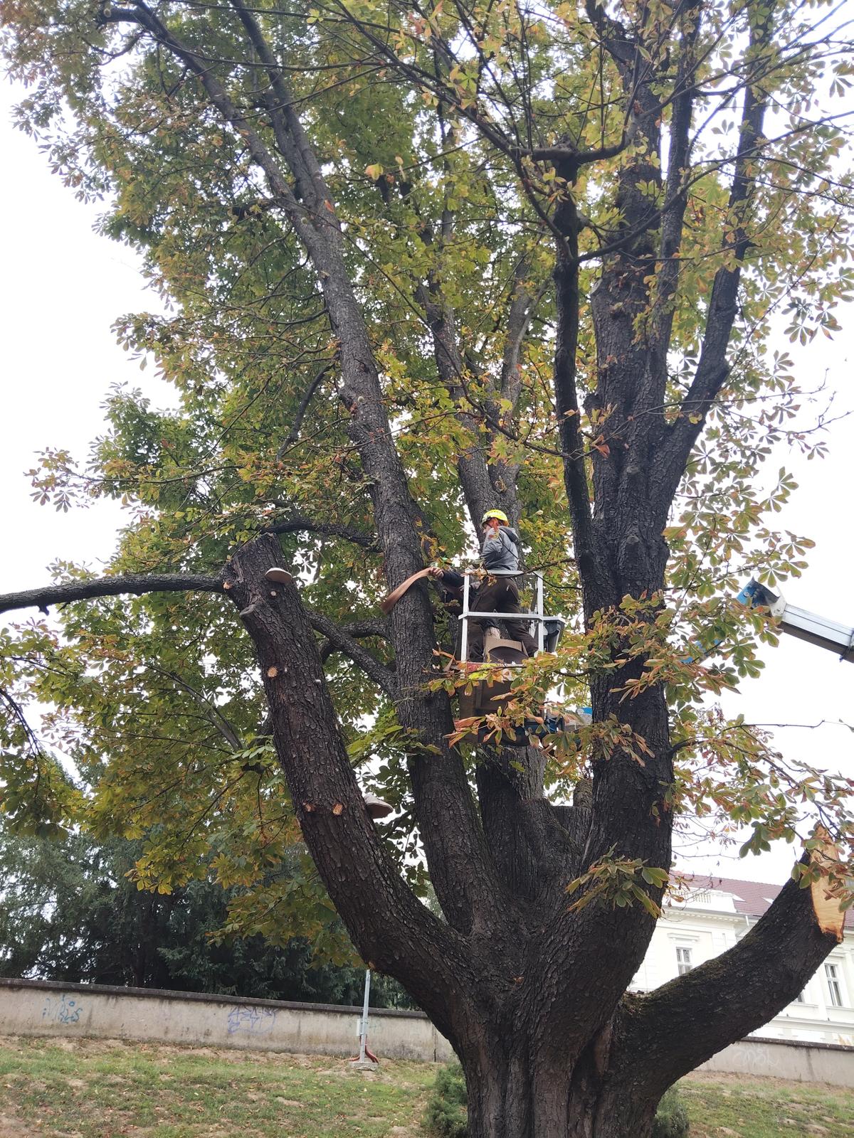 WhatsApp Image 2025-09-29 at 3.52.20 PM