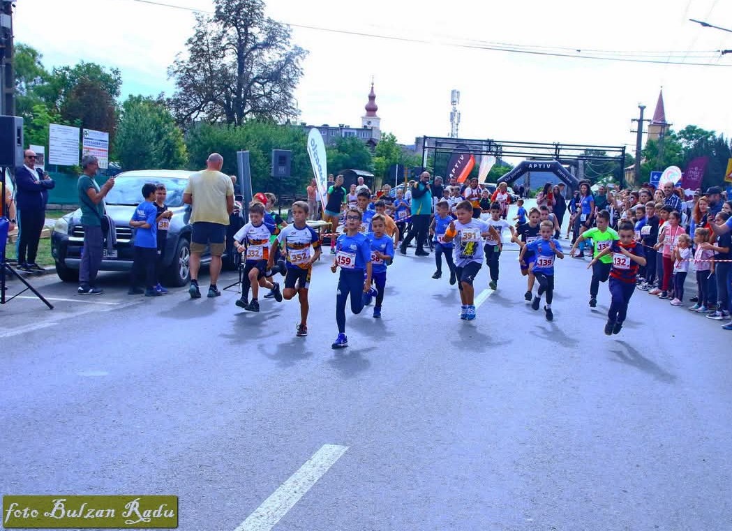 99c79535-cfa8-4bd2-9141-43d1d0237367