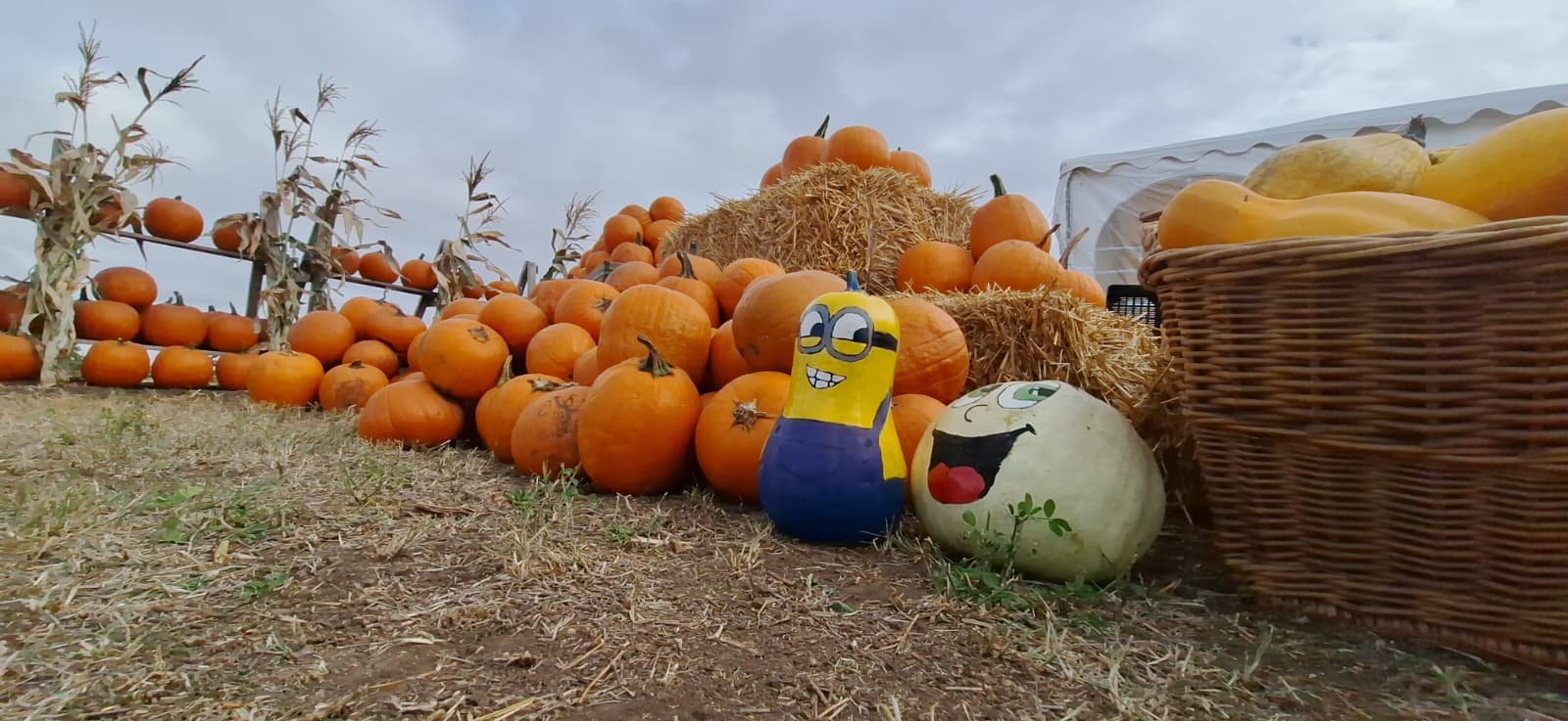 WhatsApp Image 2025-10-12 at 13.39.19 (2)