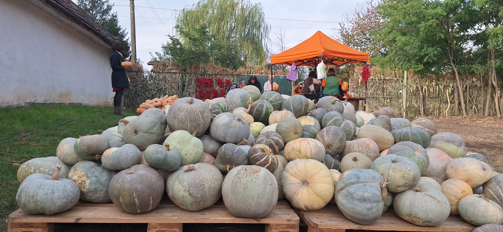 WhatsApp Image 2025-10-12 at 13.39.20 (2)