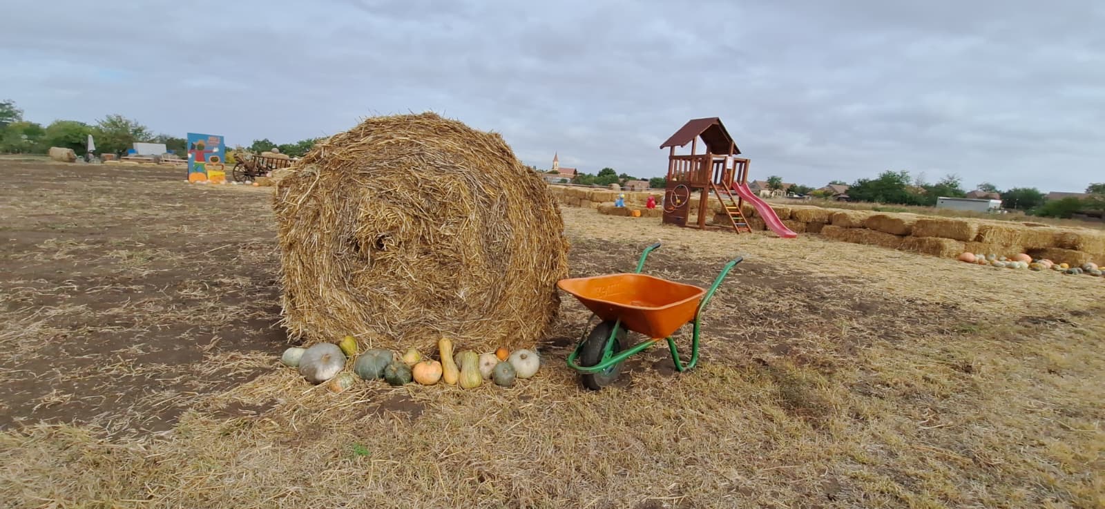 WhatsApp Image 2025-10-12 at 13.39.21 (1)